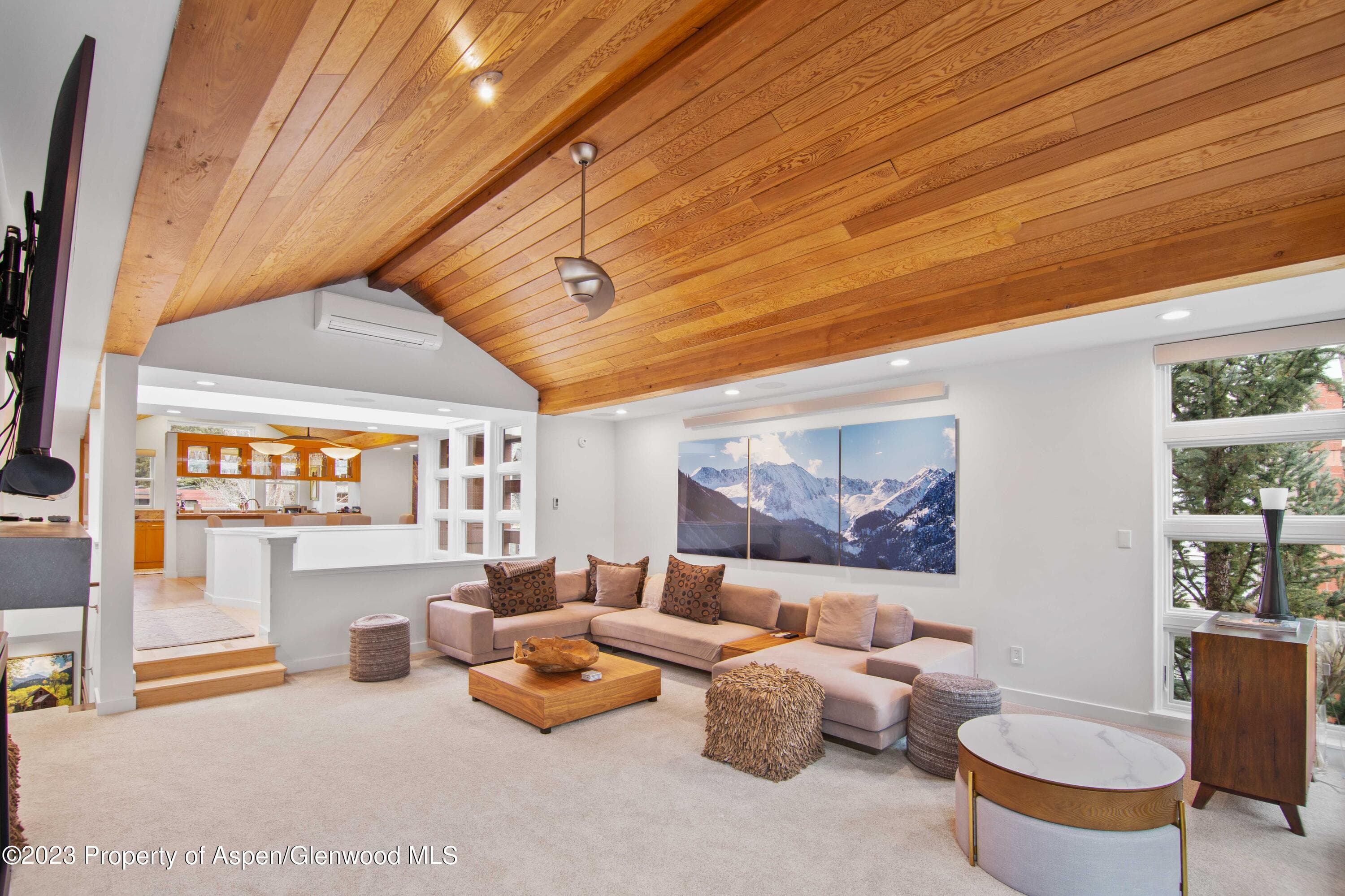702 E Hyman Avenue, Aspen, CO 81611 - Photo 29