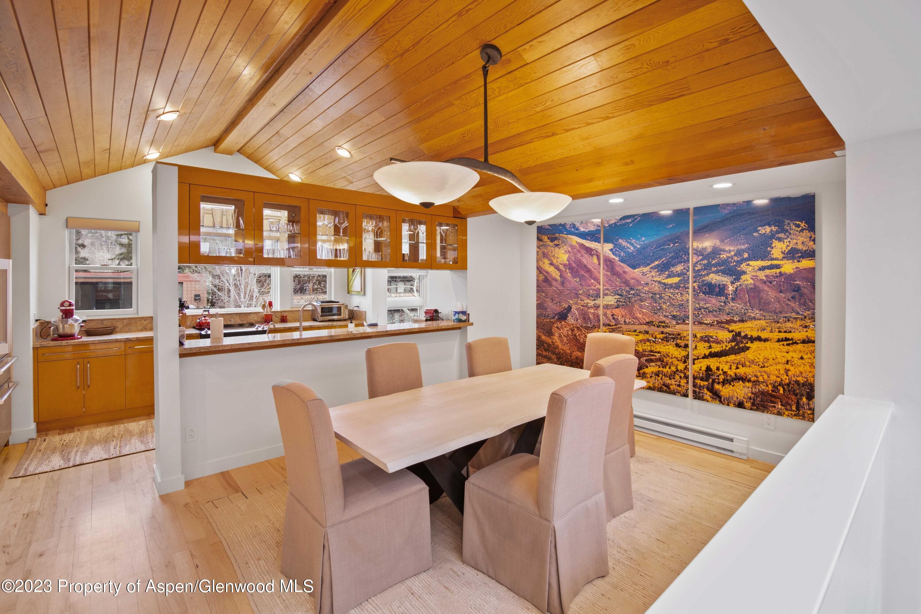 702 E Hyman Avenue, Aspen, CO 81611 - Photo 35