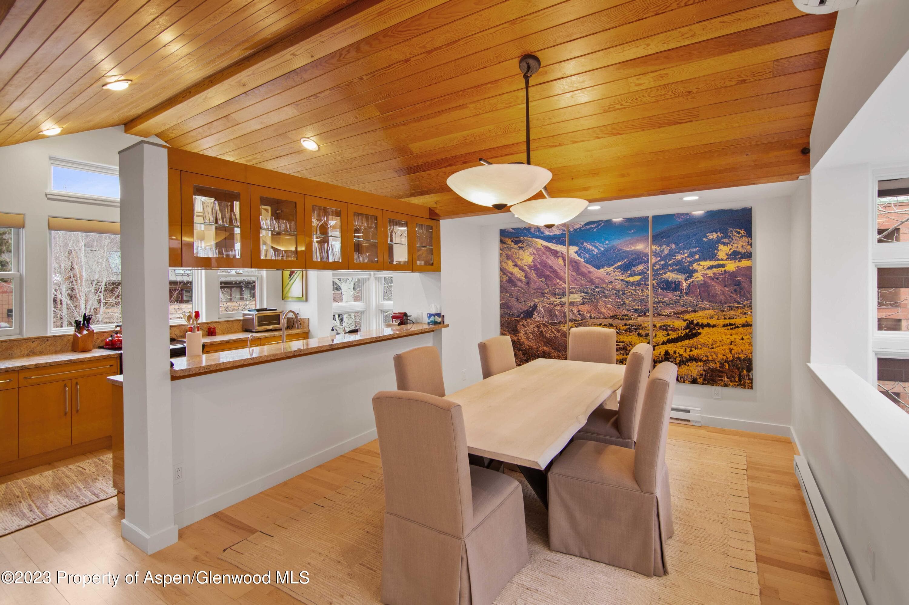 702 E Hyman Avenue, Aspen, CO 81611 - Photo 36