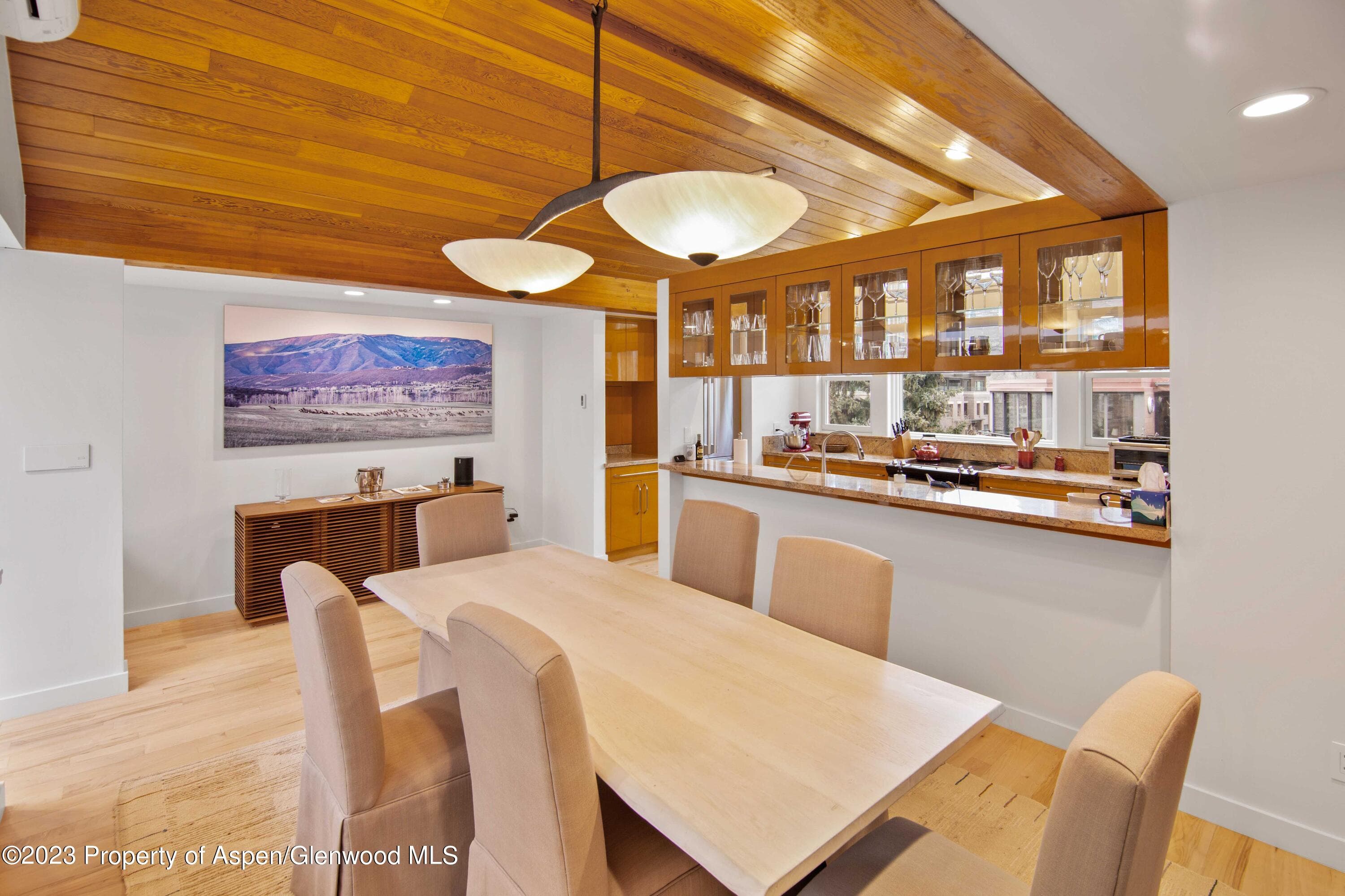 702 E Hyman Avenue, Aspen, CO 81611 - Photo 37