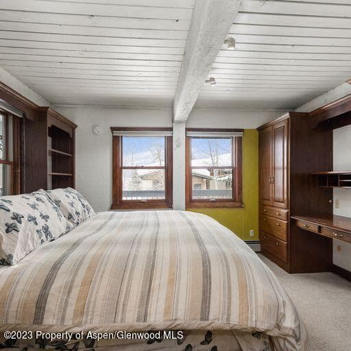 855 Carriage Way Unit #801, Snowmass Village, CO 81615 - Photo 13