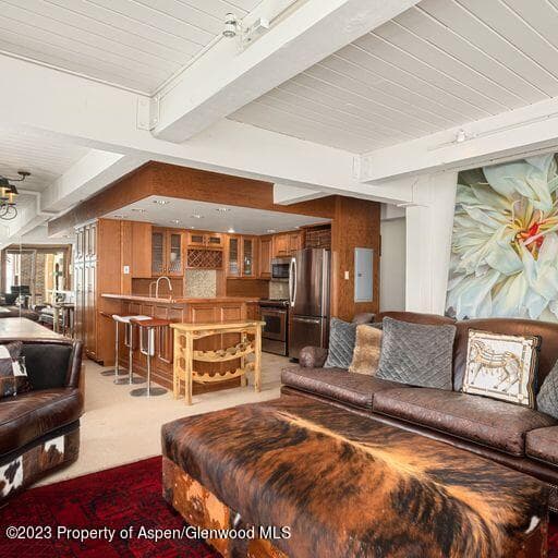 855 Carriage Way Unit #801, Snowmass Village, CO 81615 - Photo 5