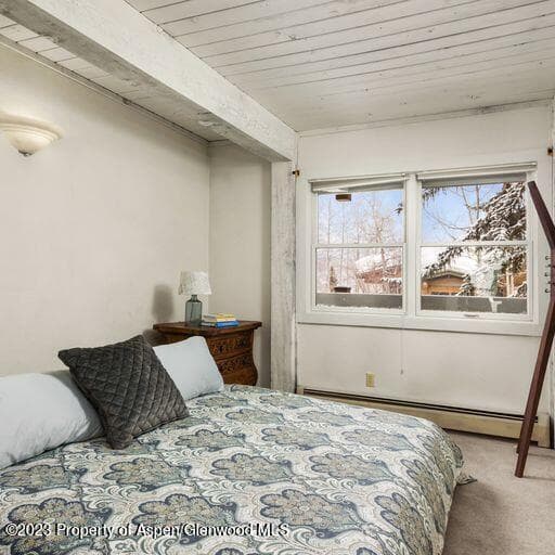 855 Carriage Way Unit #801, Snowmass Village, CO 81615 - Photo 18