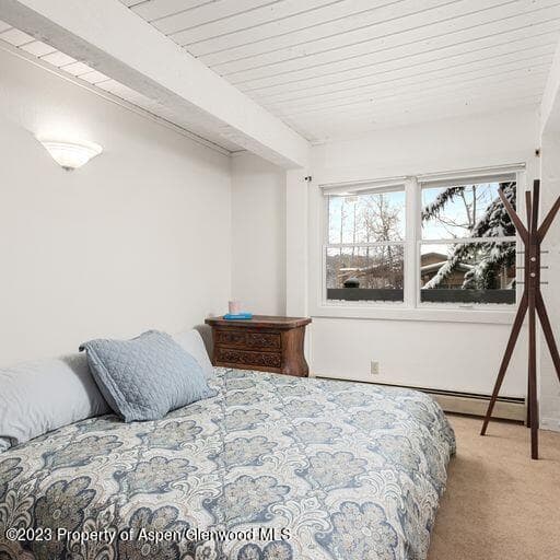 855 Carriage Way Unit #801, Snowmass Village, CO 81615 - Photo 19