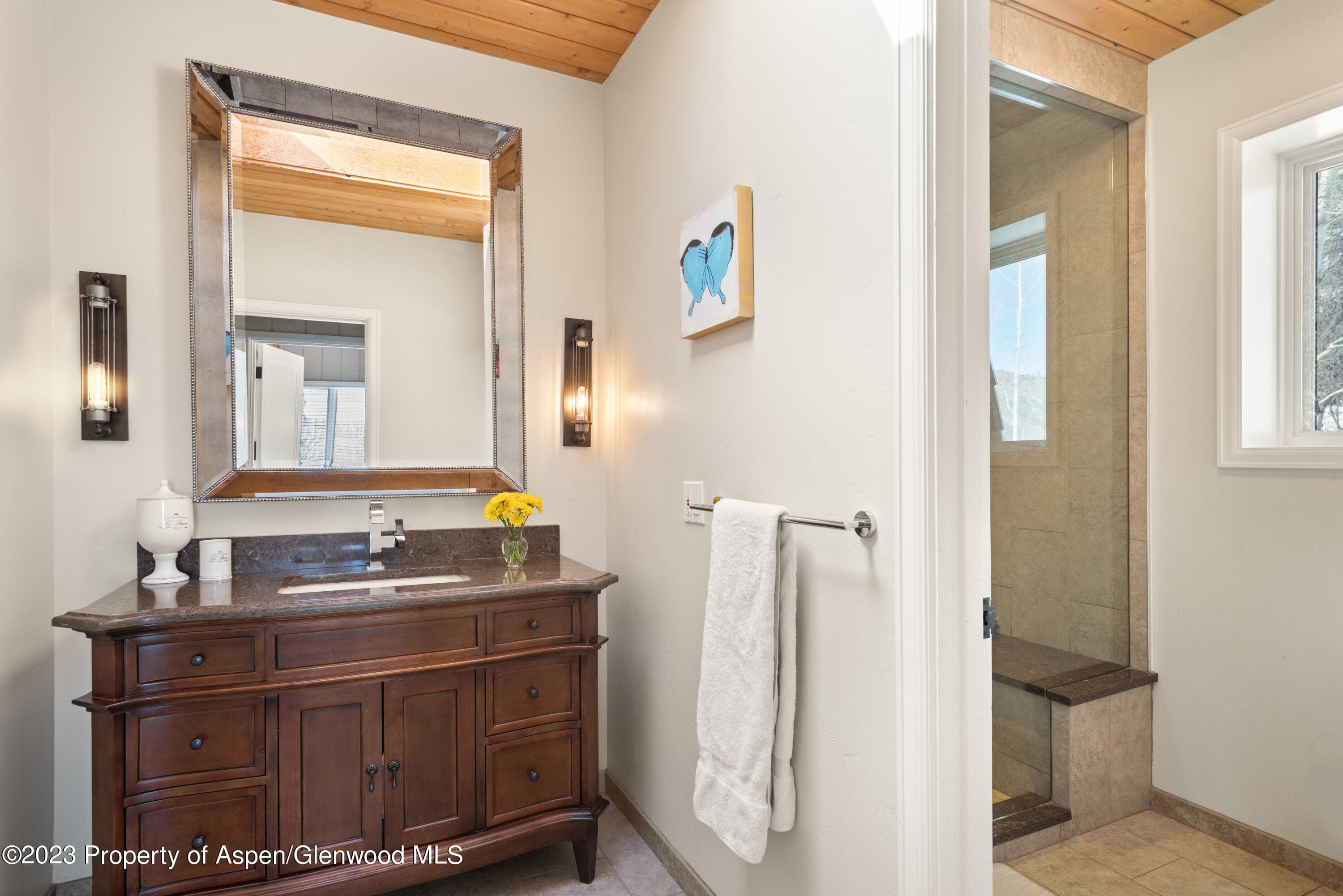 49 Elk Ridge Lane, Snowmass Village, CO 81615 - Photo 13