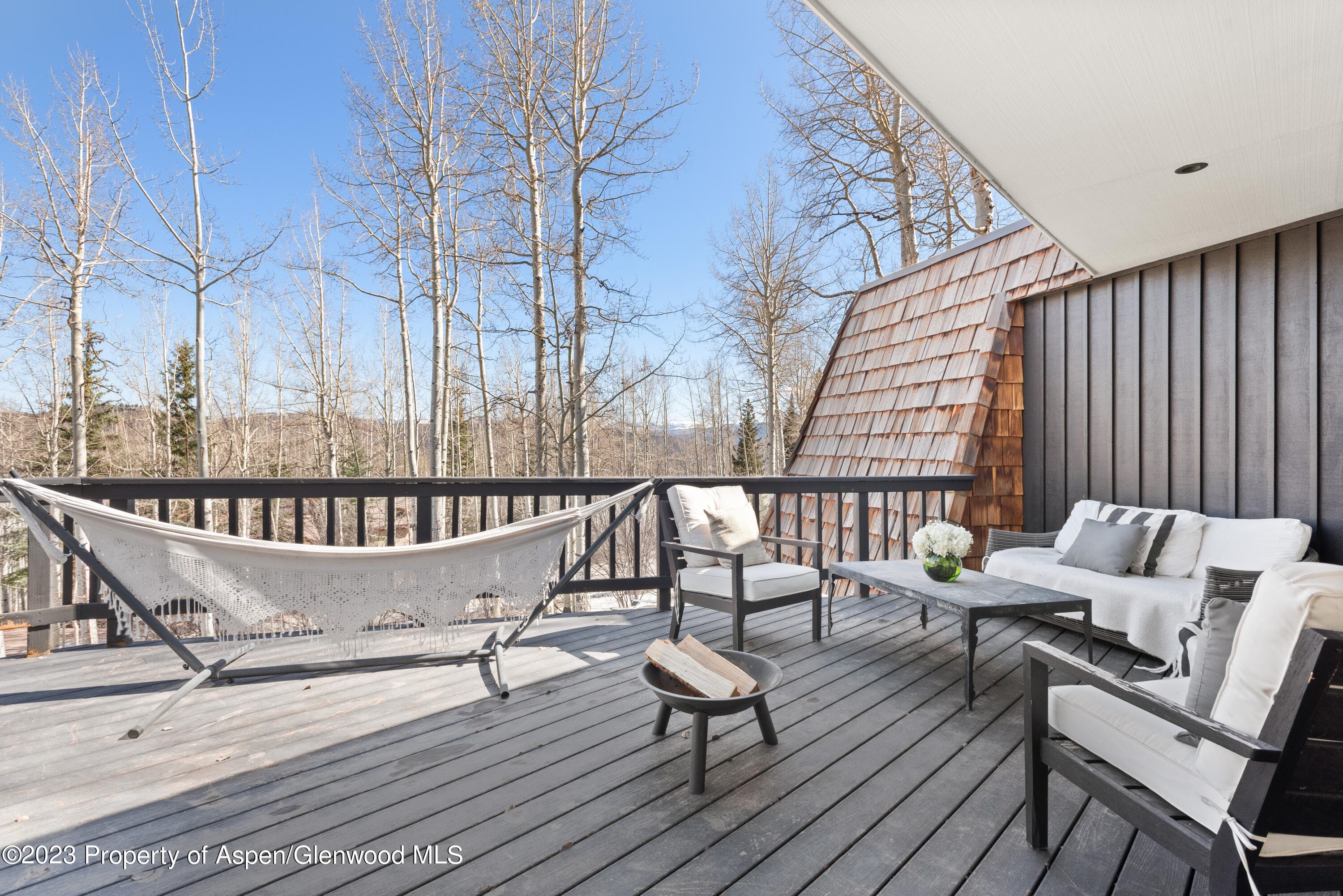 49 Elk Ridge Lane, Snowmass Village, CO 81615 - Photo 10
