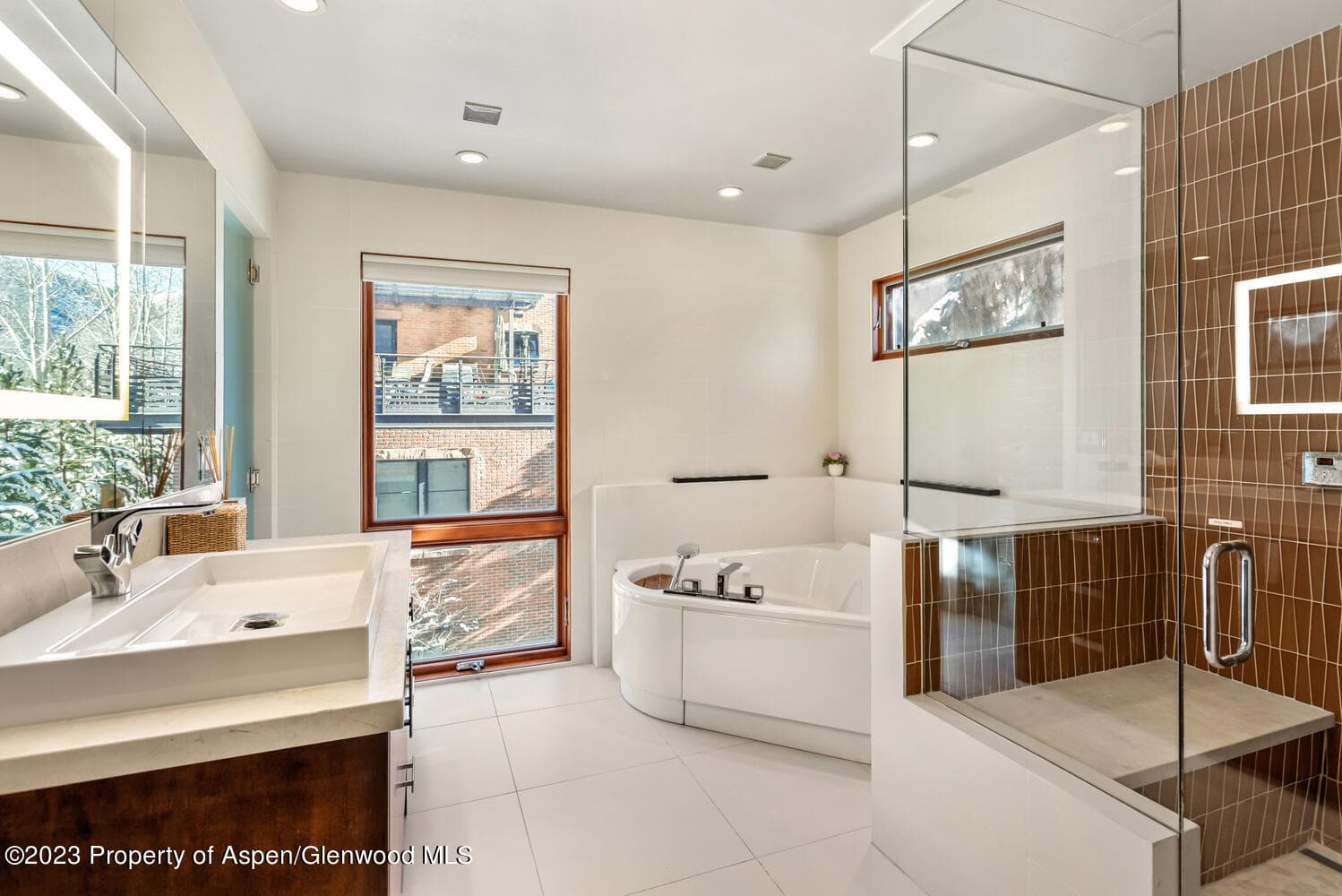 600 E Main Street 210, Aspen, CO 81611 - Photo 14