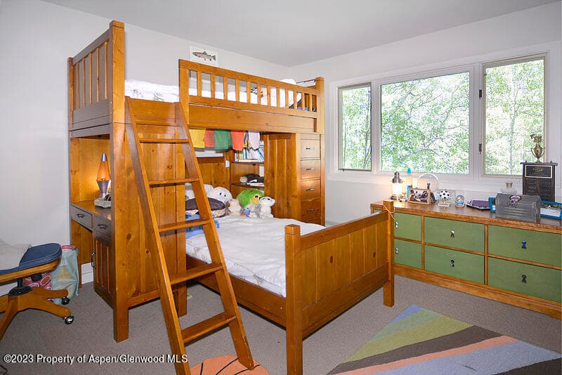 309 Mountain Laurel Drive, Aspen, CO 81611 - Photo 13