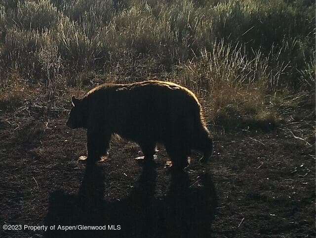 TBD Black Diamond Mine Road, Glenwood Springs, CO 81601 - Photo 15