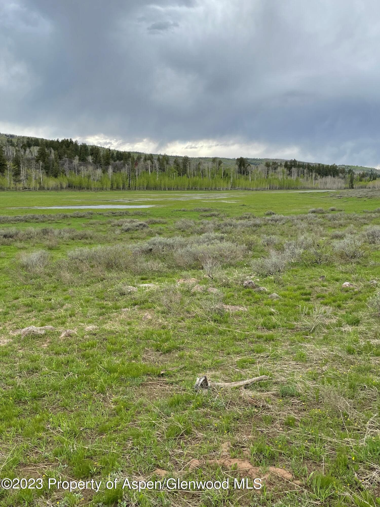 TBD Black Diamond Mine Road, Glenwood Springs, CO 81601 - Photo 6