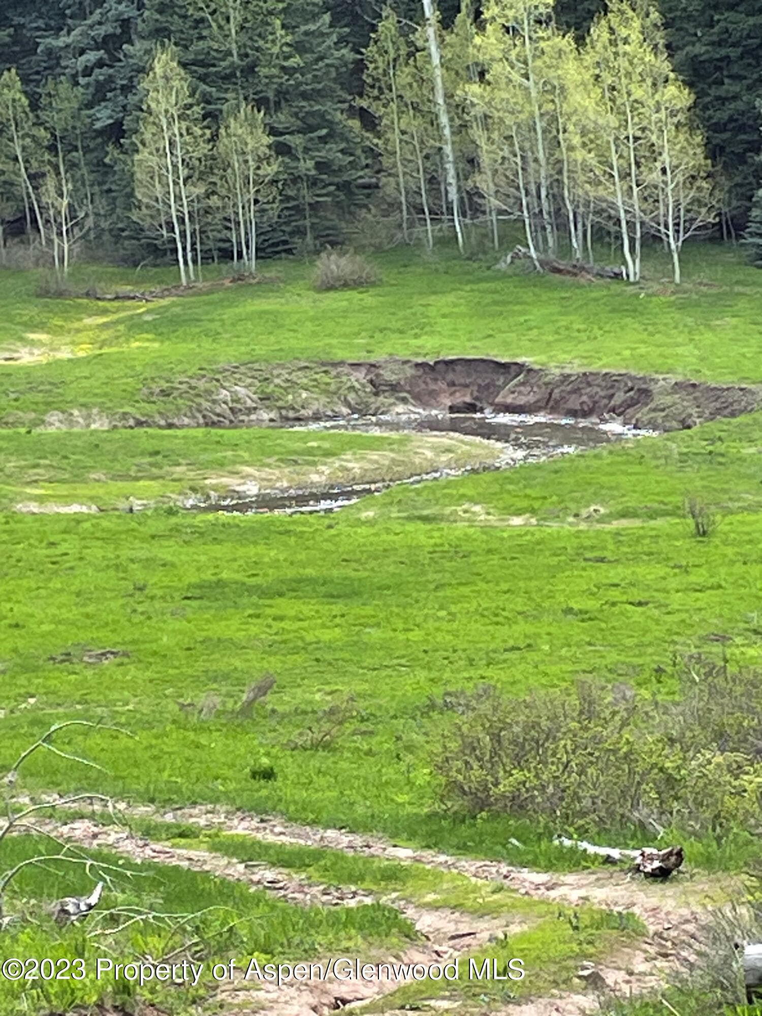 TBD Black Diamond Mine Road, Glenwood Springs, CO 81601 - Photo 8