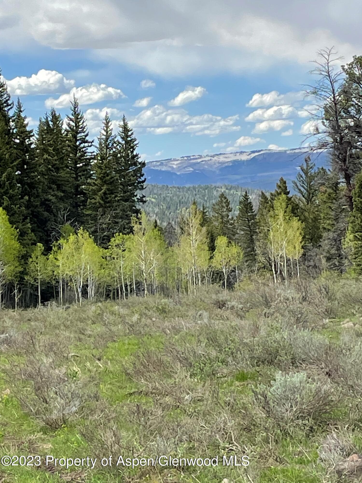 TBD Black Diamond Mine Road, Glenwood Springs, CO 81601 - Photo 11