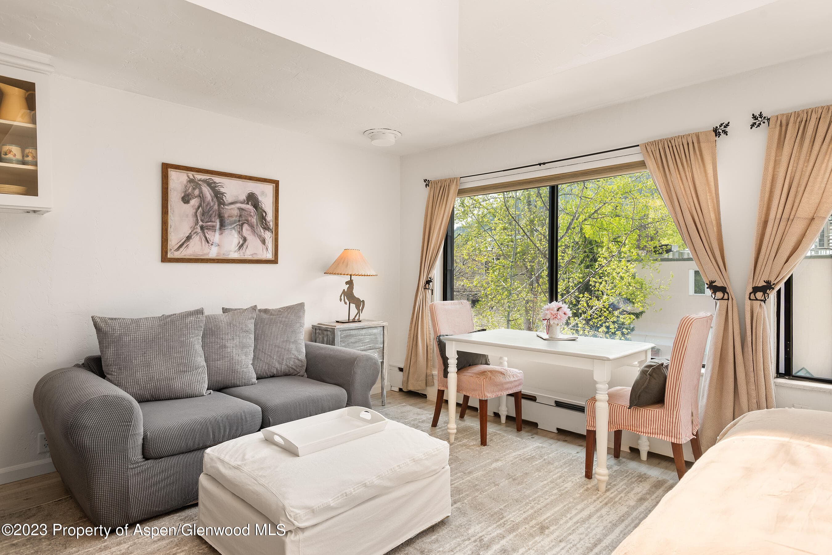 725 E Main Street #305, Aspen, CO 81611