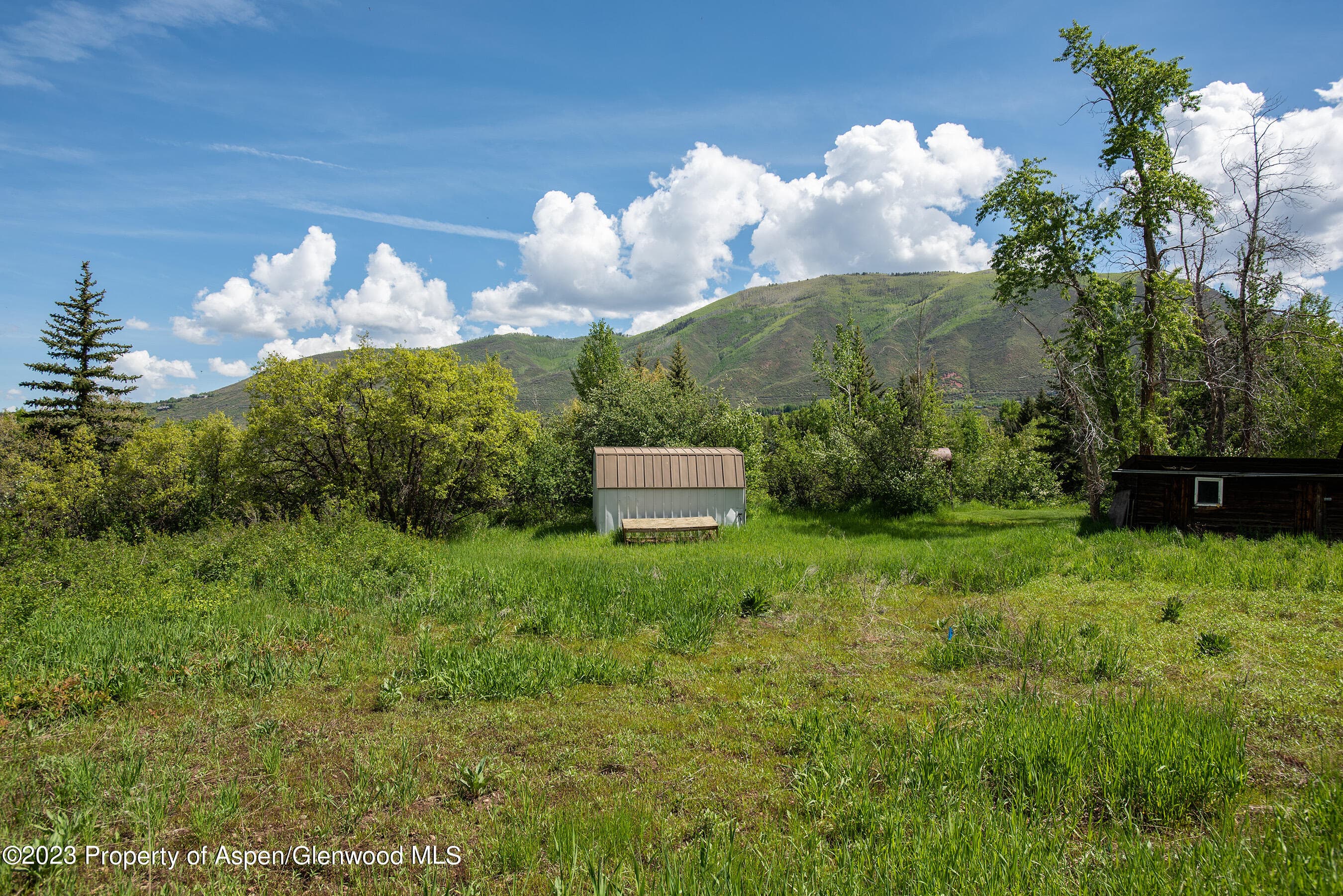 301 S 7th Street, Aspen, CO 81611 - Photo 17