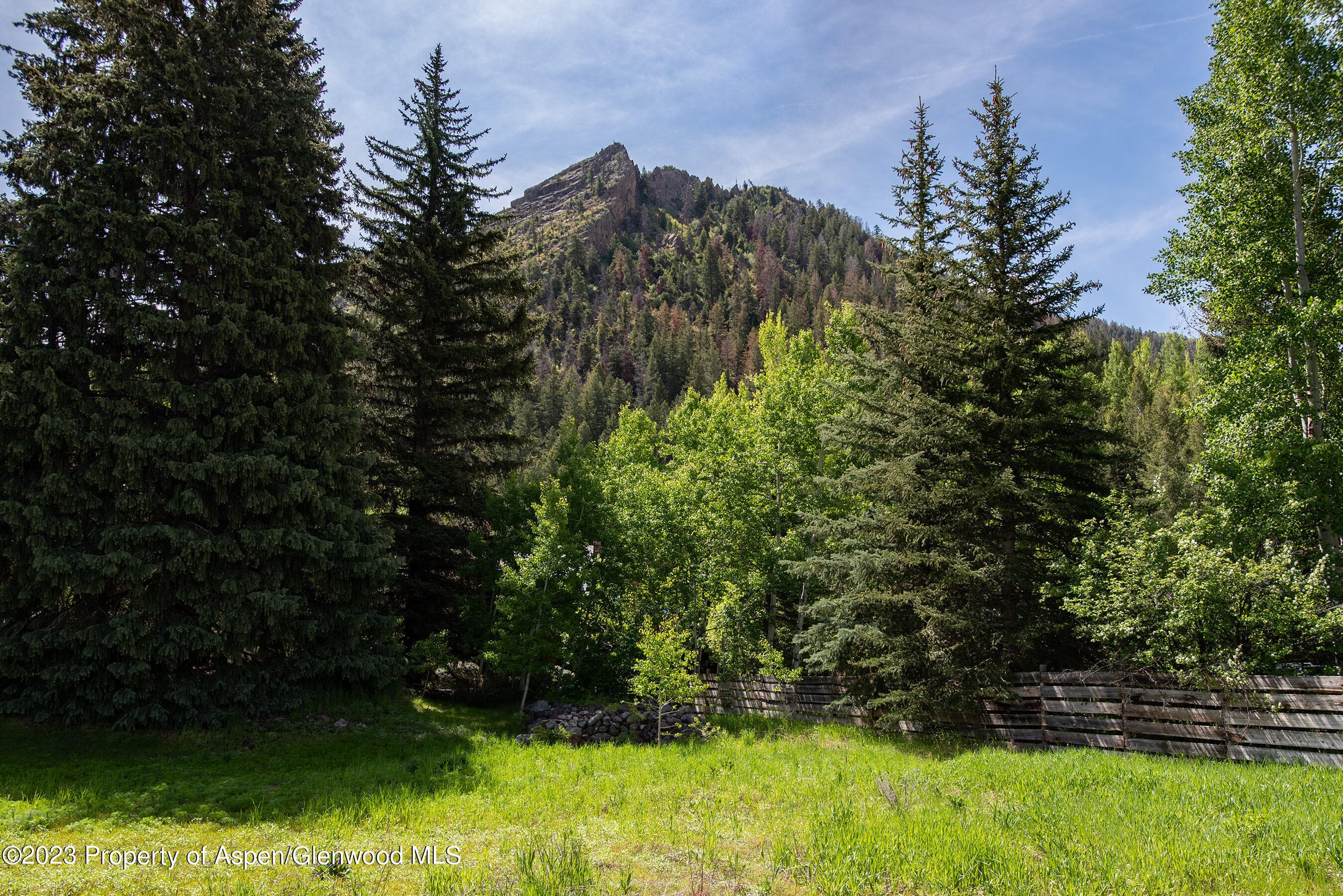 301 S 7th Street, Aspen, CO 81611 - Photo 23