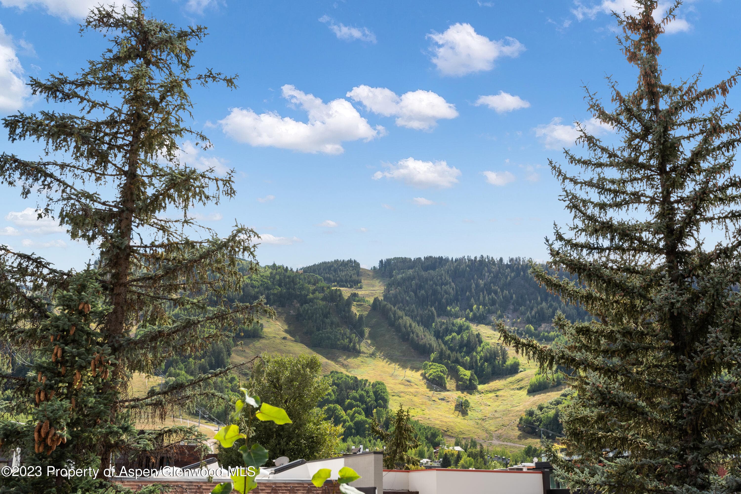 615 E Hopkins Avenue, Aspen, CO 81611 - Photo 29