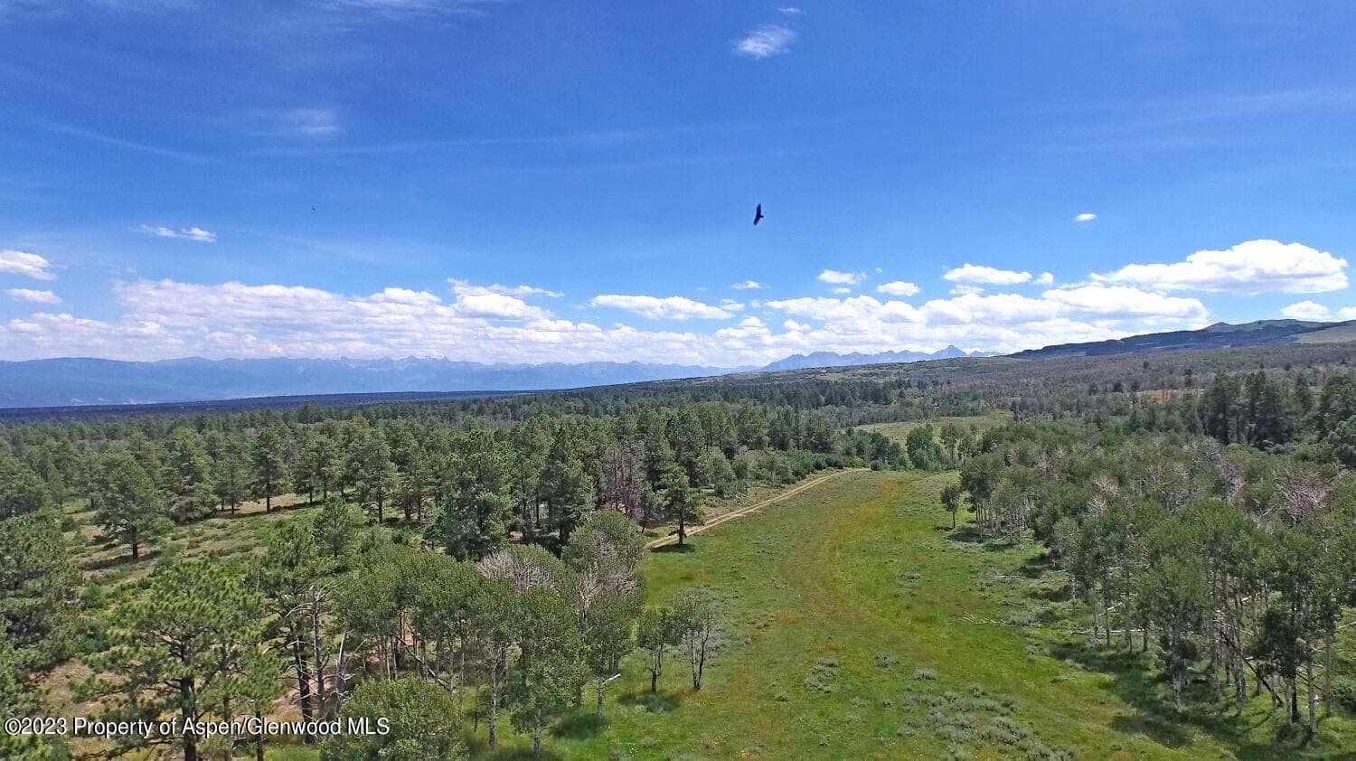 TBD Government Springs Road, Montrose, CO 81403 - Photo 2