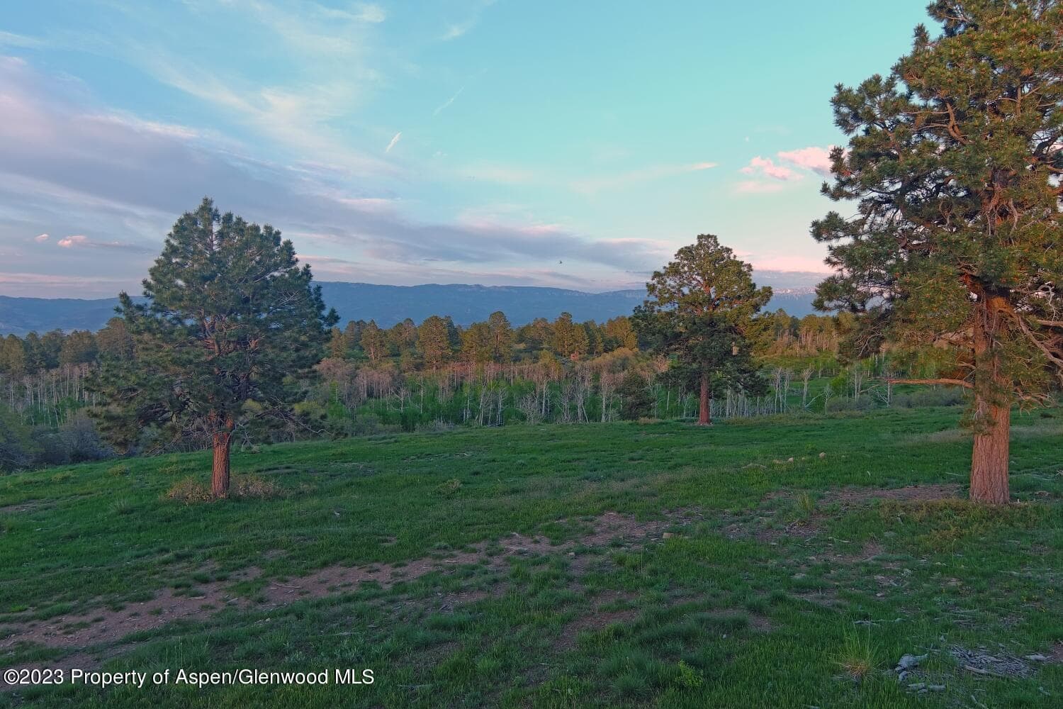 TBD Government Springs Road, Montrose, CO 81403 - Photo 5