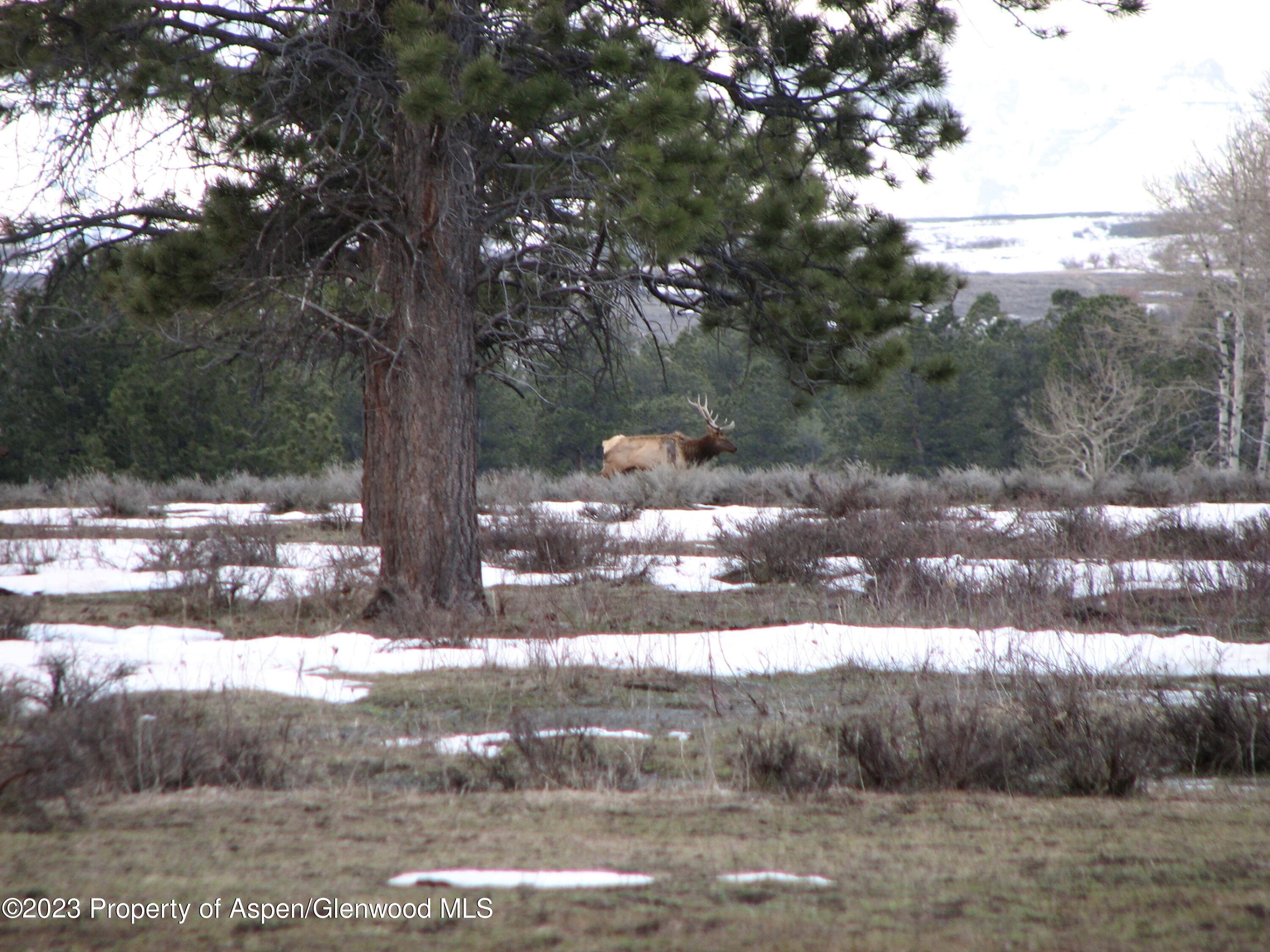 TBD Government Springs Road, Montrose, CO 81403 - Photo 9