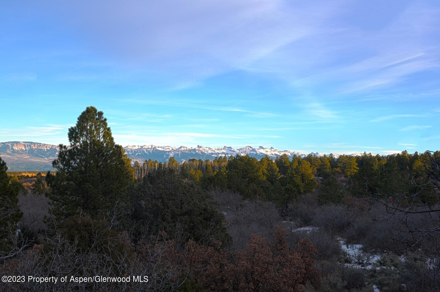 TBD Government Springs Road, Montrose, CO 81403 - Photo 11