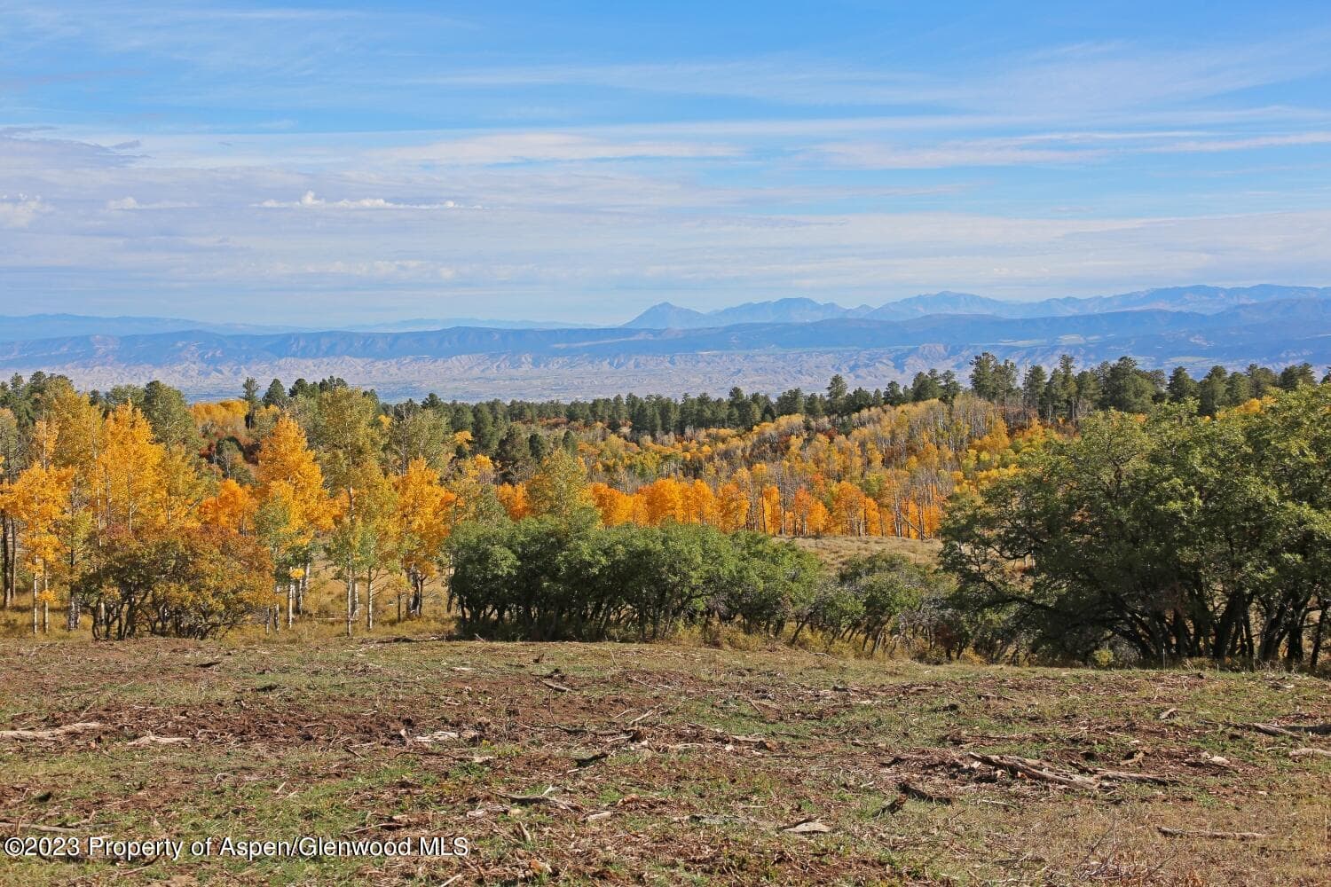 TBD Government Springs Road, Montrose, CO 81403 - Photo 12