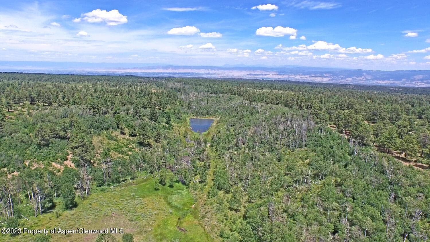 TBD Government Springs Road, Montrose, CO 81403 - Photo 13