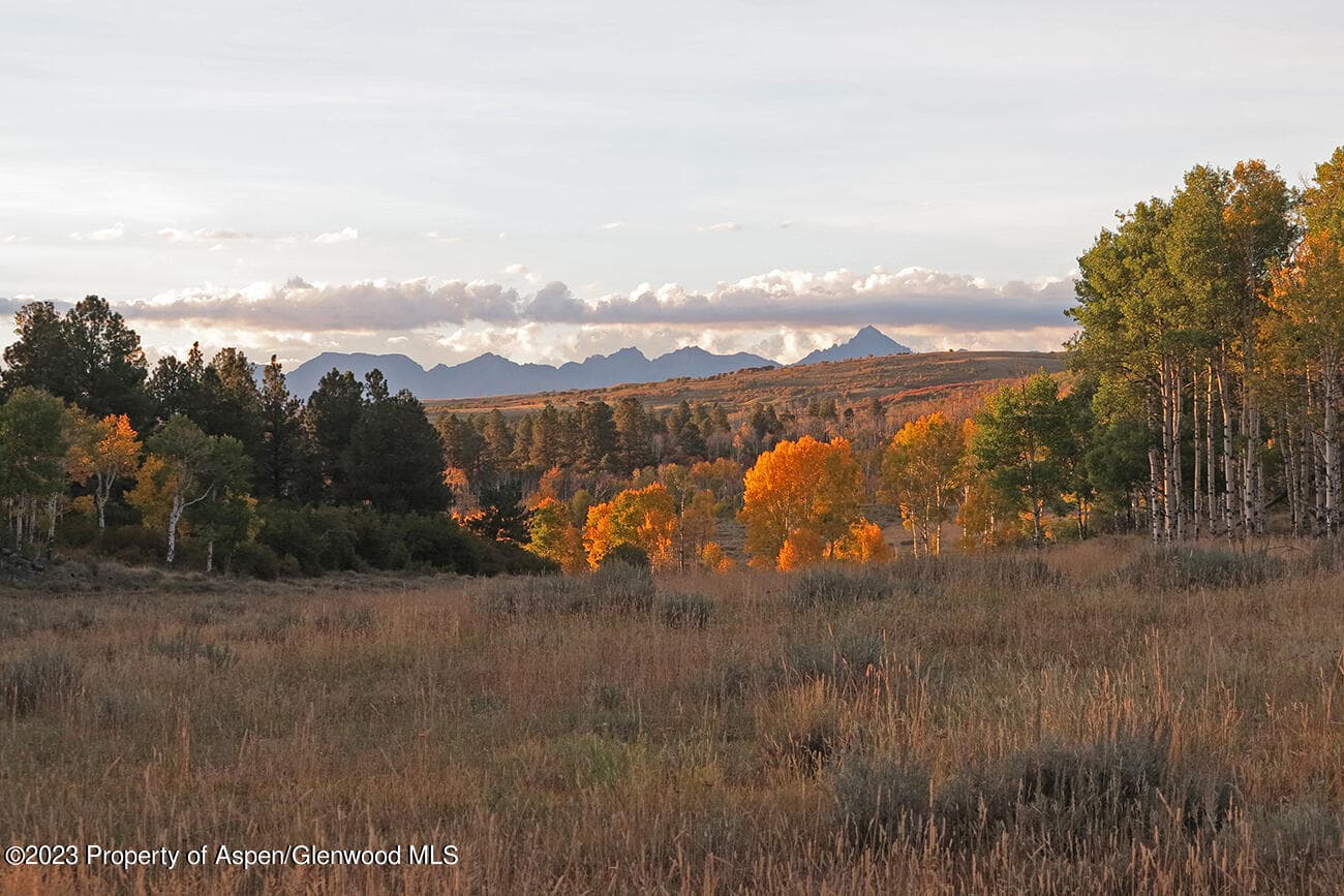TBD Government Springs Road, Montrose, CO 81403 - Photo 14