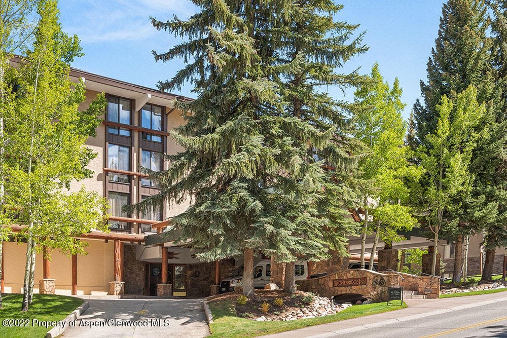 300 Carriage Way Unit 525, Snowmass Village, CO 81615 - Photo 2
