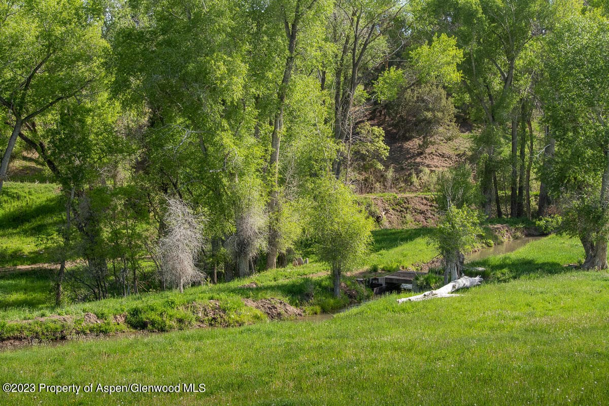 1634 Prince Creek Road, Carbondale, CO 81623 - Photo 9