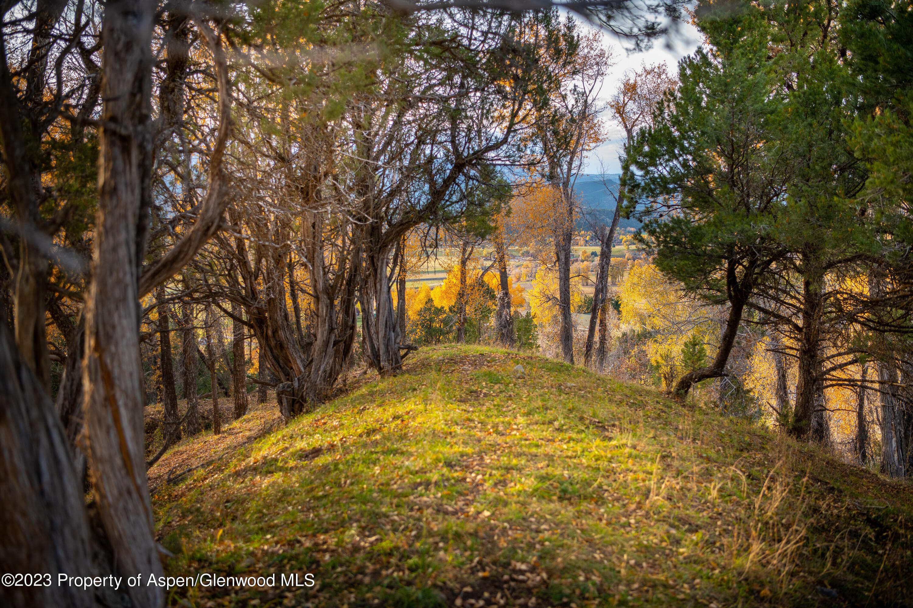 1634 Prince Creek Road, Carbondale, CO 81623 - Photo 12