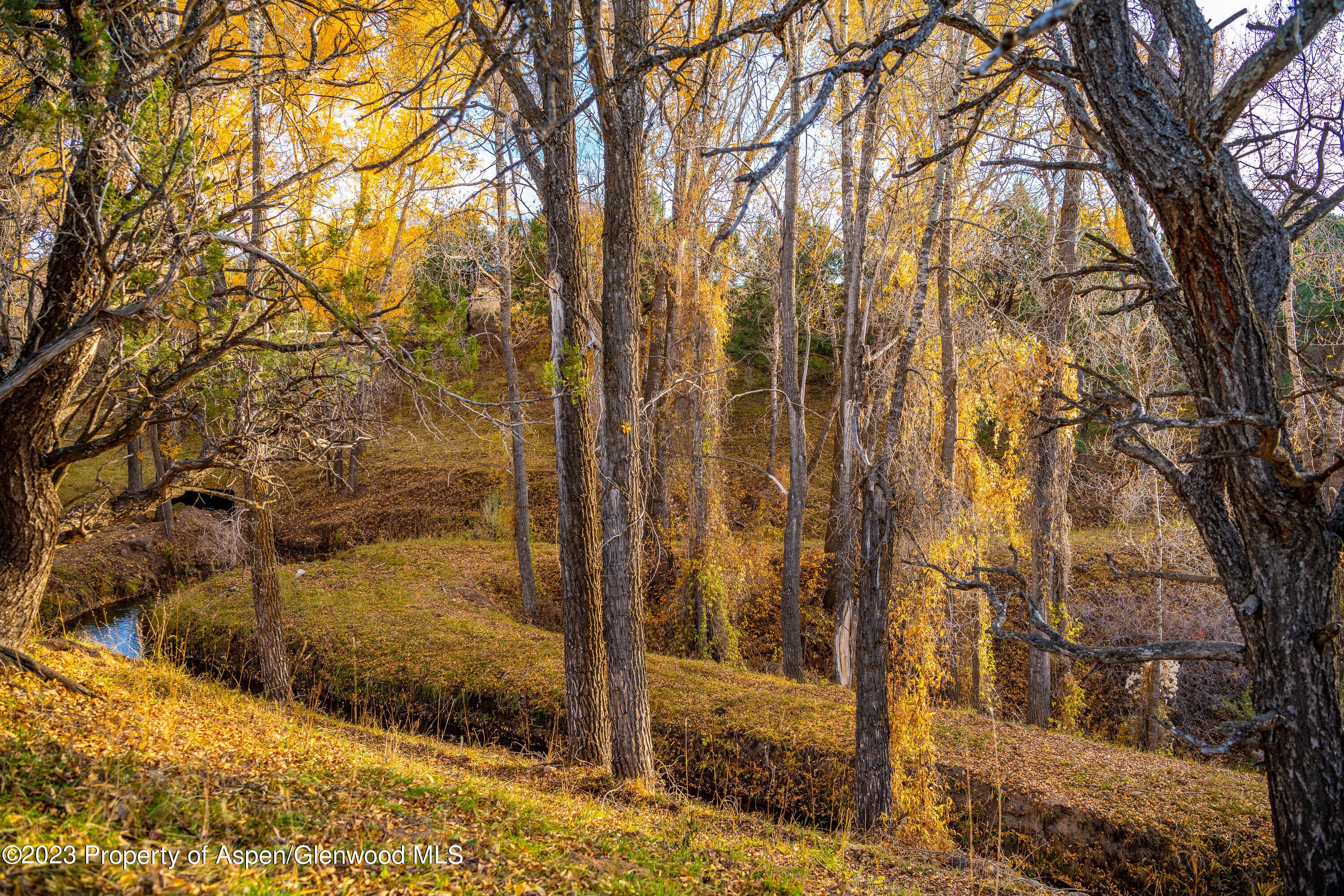 1634 Prince Creek Road, Carbondale, CO 81623 - Photo 13