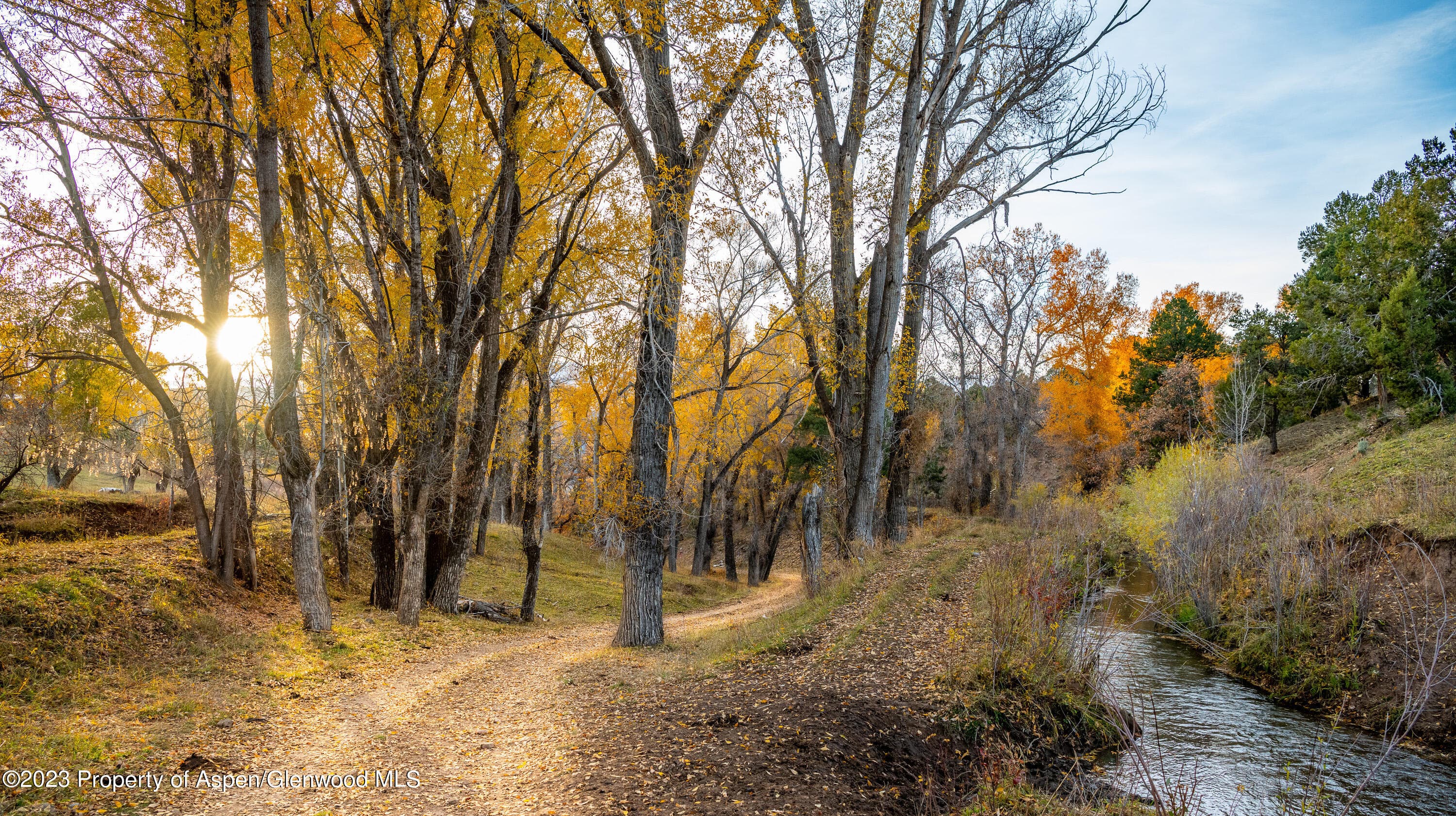 1634 Prince Creek Road, Carbondale, CO 81623 - Photo 18