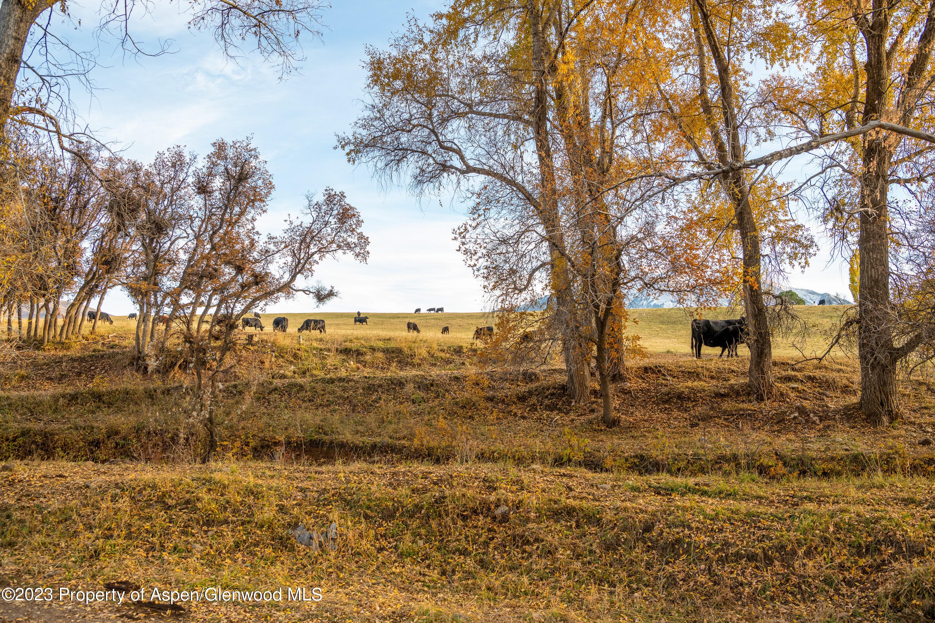 1634 Prince Creek Road, Carbondale, CO 81623 - Photo 20