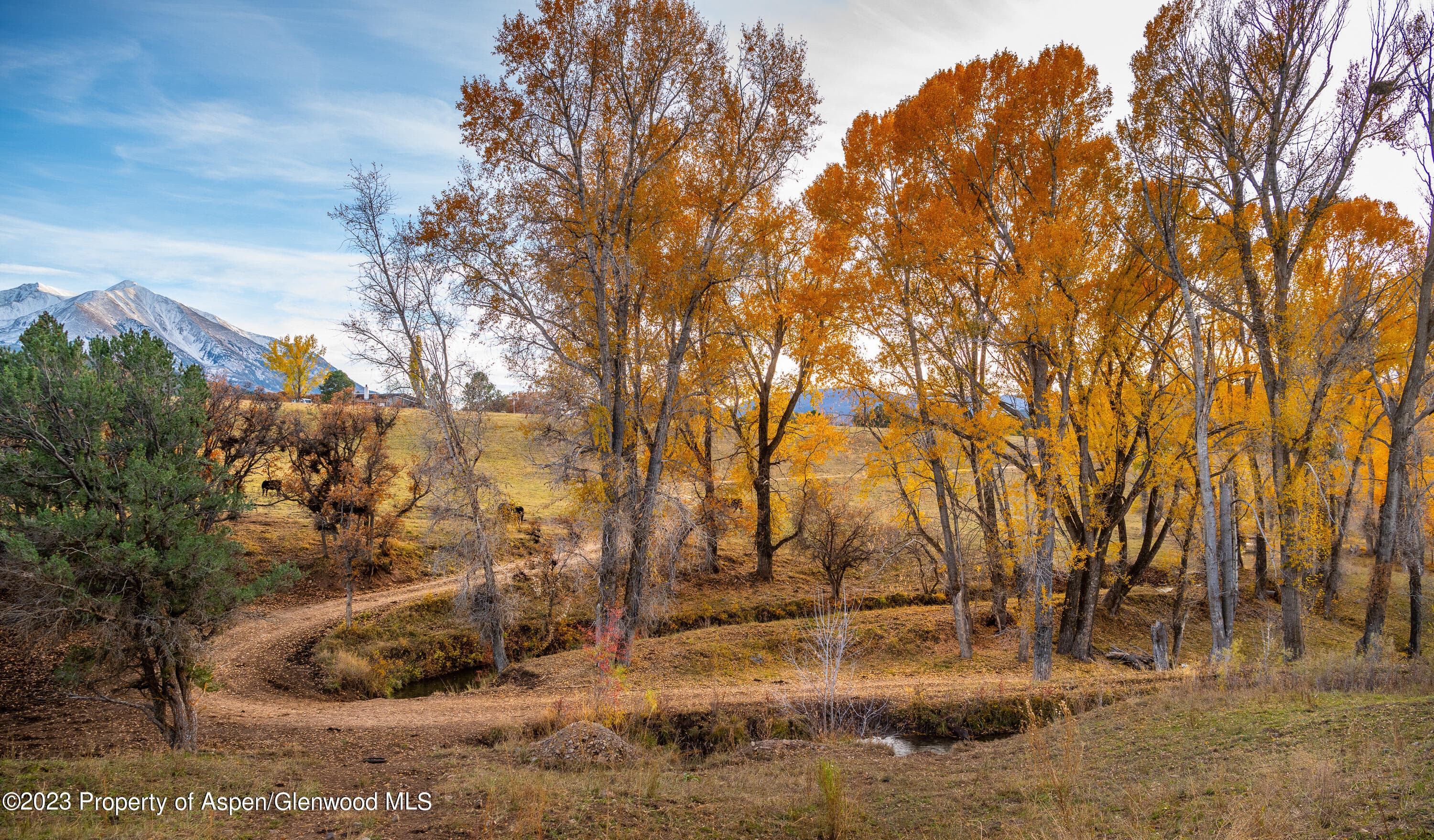1634 Prince Creek Road, Carbondale, CO 81623 - Photo 21