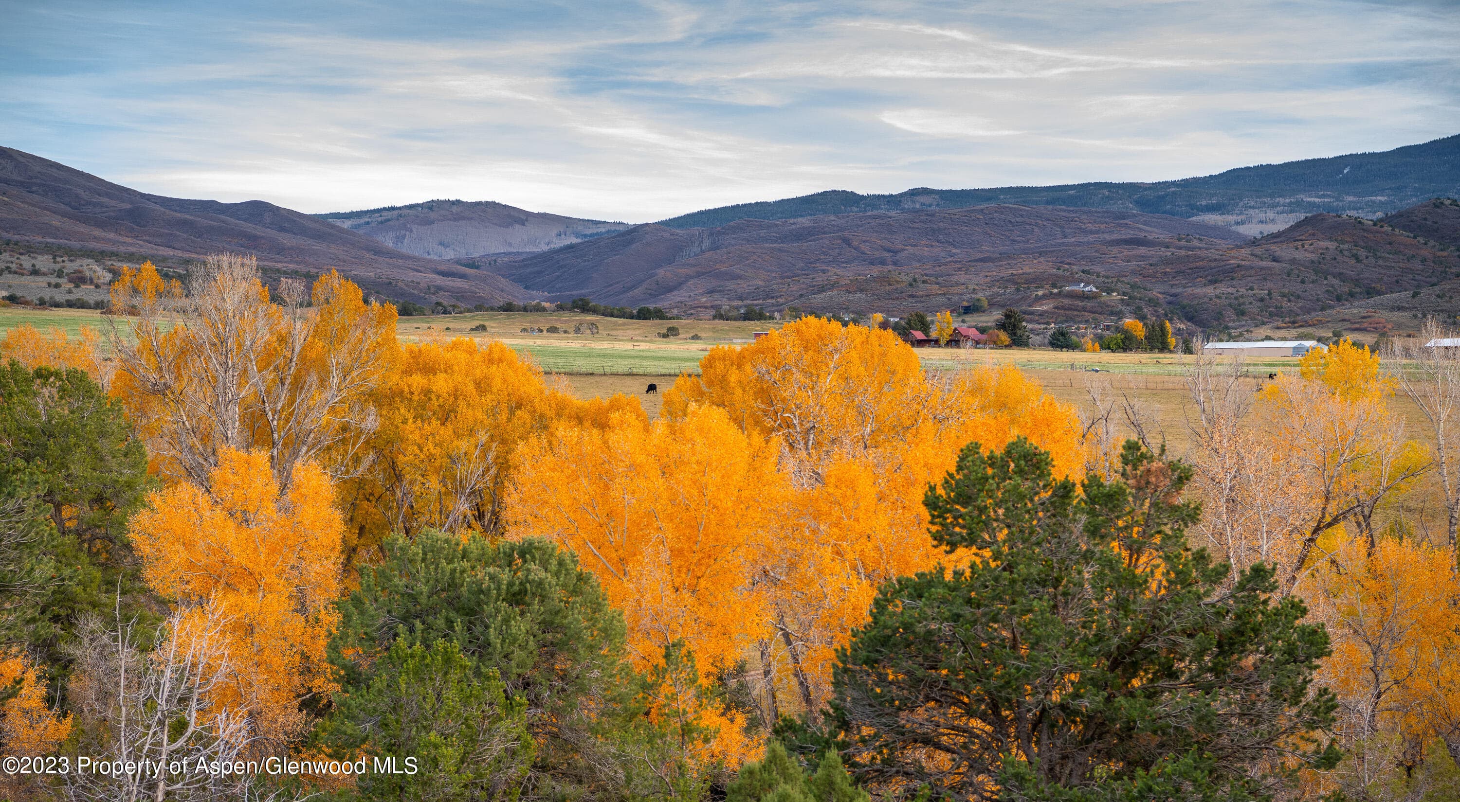 1634 Prince Creek Road, Carbondale, CO 81623 - Photo 22