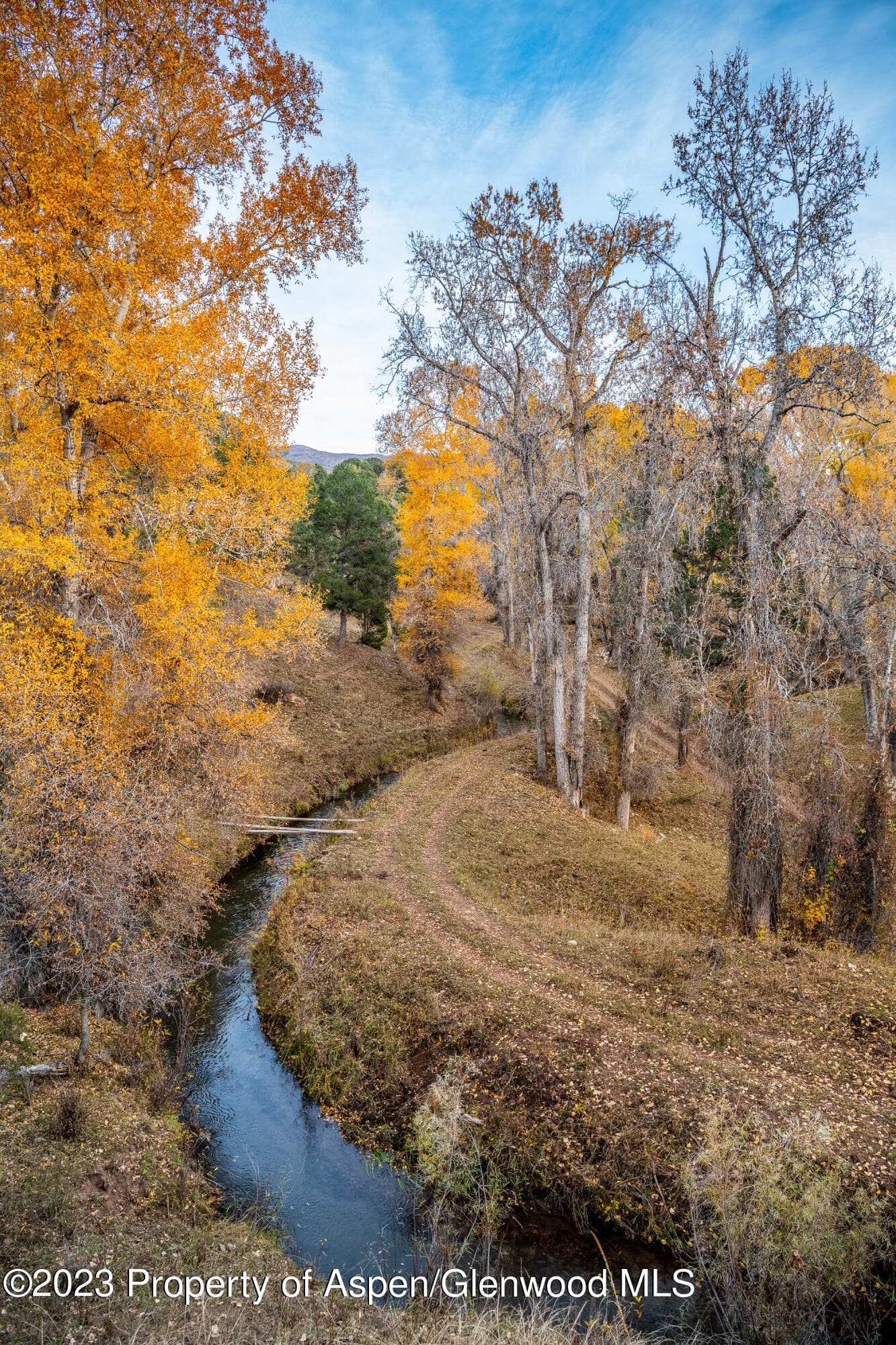 1634 Prince Creek Road, Carbondale, CO 81623 - Photo 14