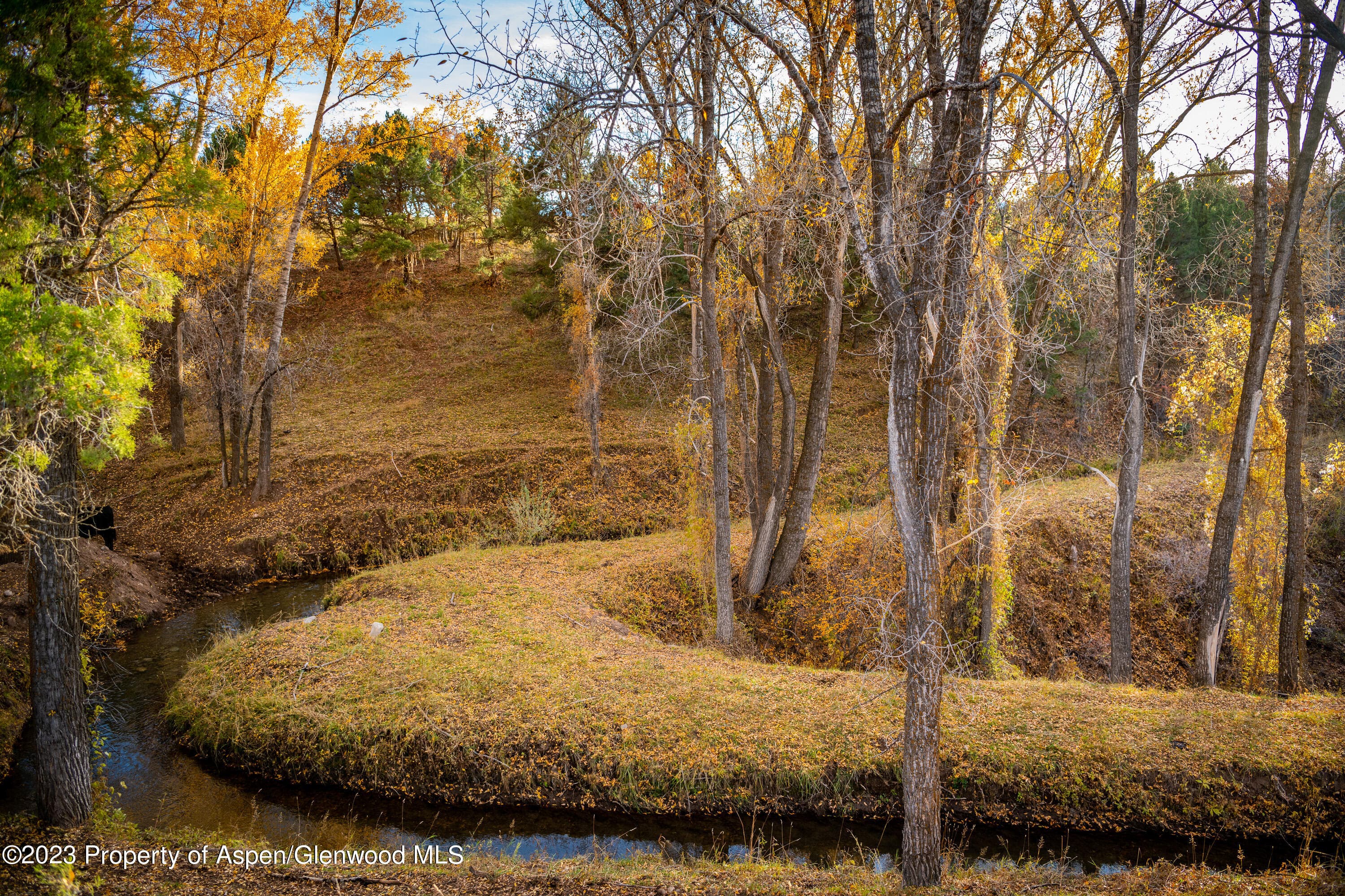 1634 Prince Creek Road, Carbondale, CO 81623 - Photo 15