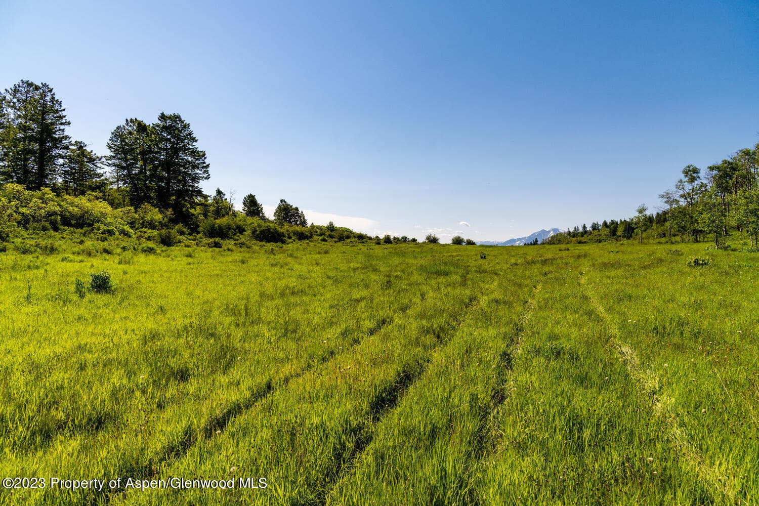 TBD Black Diamond Mine Road, Glenwood Springs, CO 81601 - Photo 53