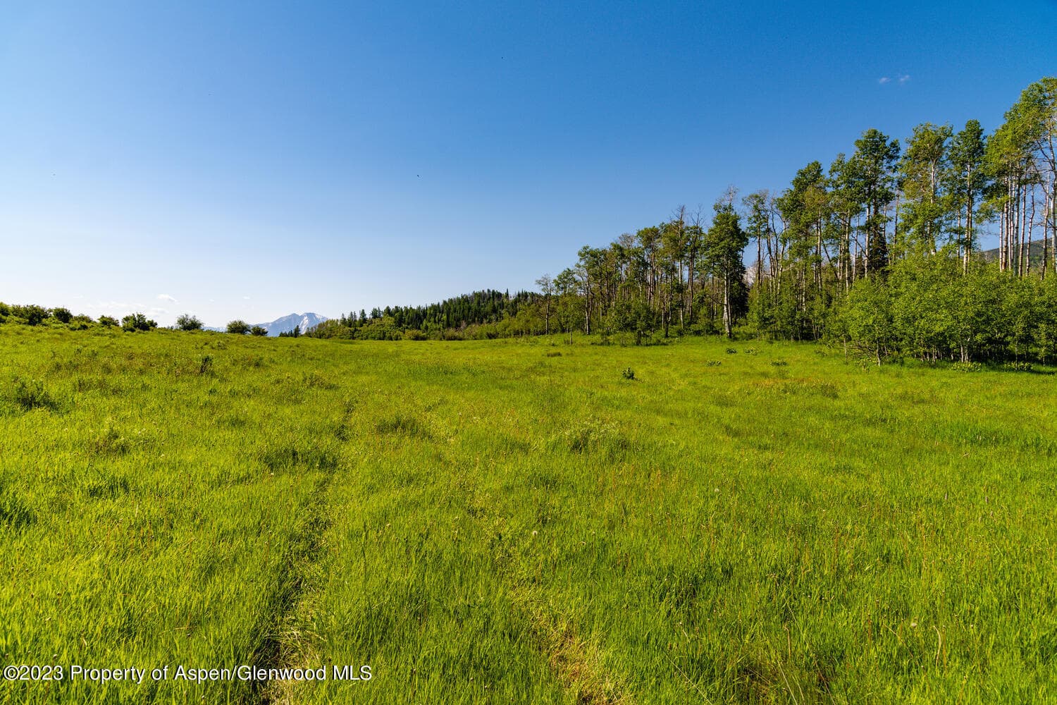 TBD Black Diamond Mine Road, Glenwood Springs, CO 81601 - Photo 54