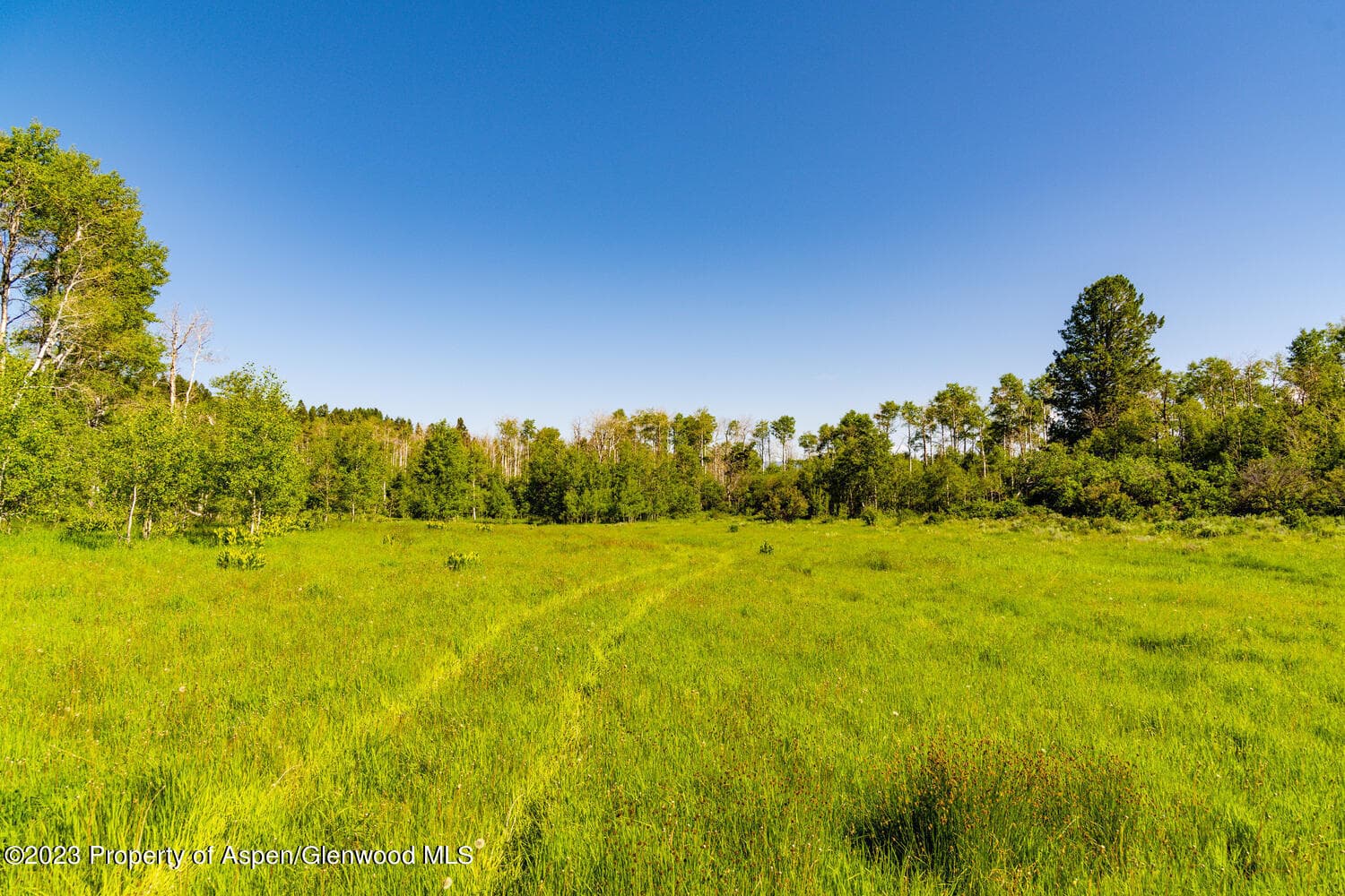 TBD Black Diamond Mine Road, Glenwood Springs, CO 81601 - Photo 56