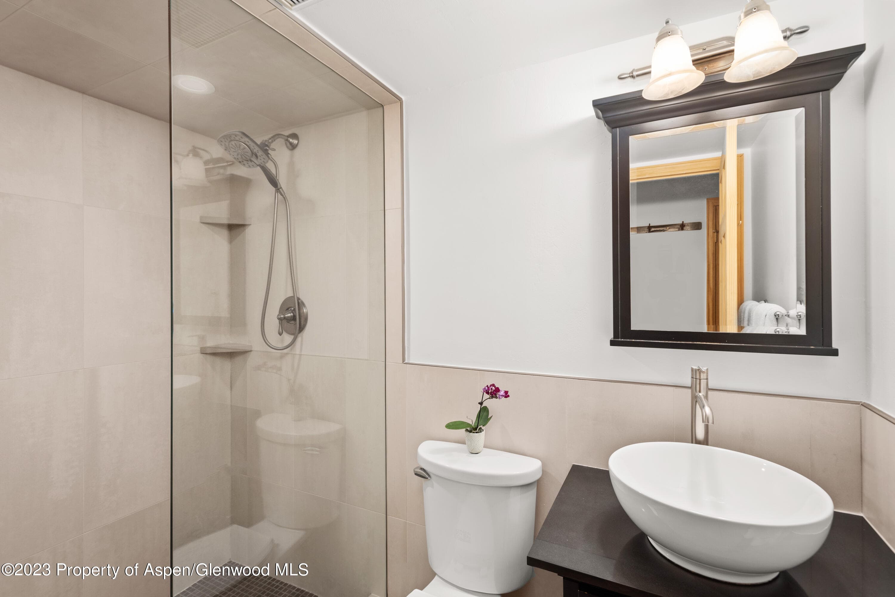 630 E Cooper #6, Aspen, CO 81611 - Photo 11
