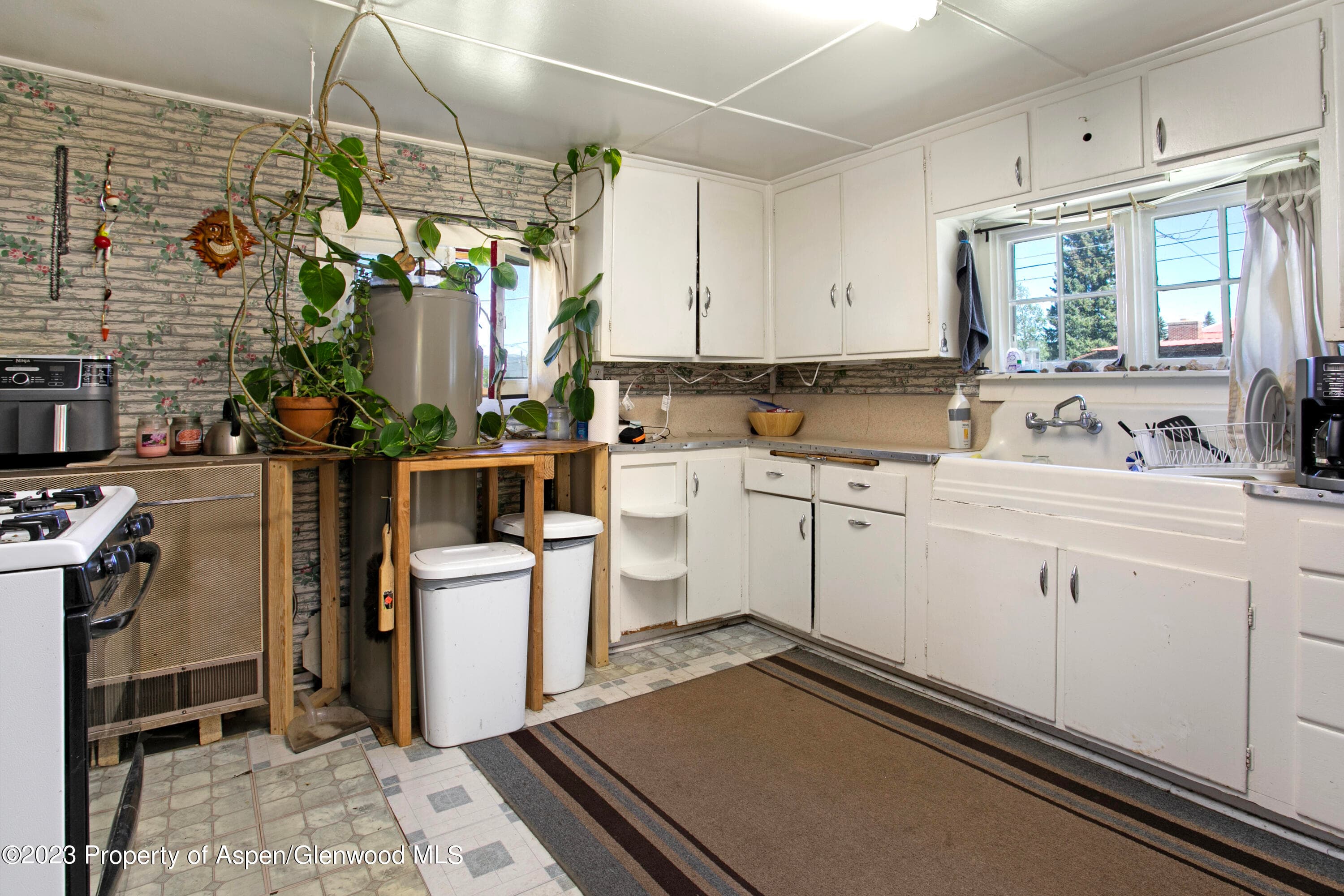 610 Elm Street, Leadville, CO 80461 - Photo 8