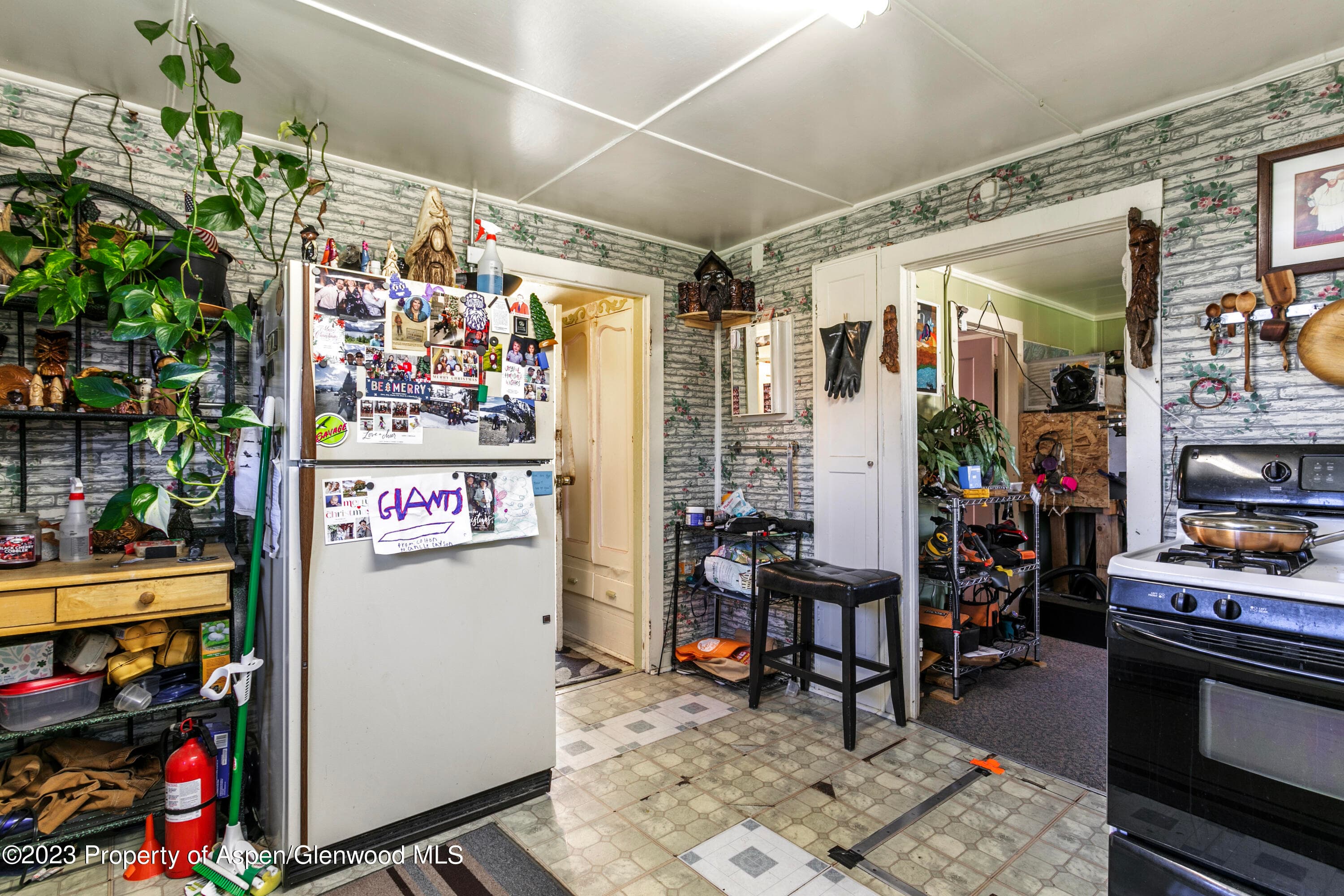 610 Elm Street, Leadville, CO 80461 - Photo 9