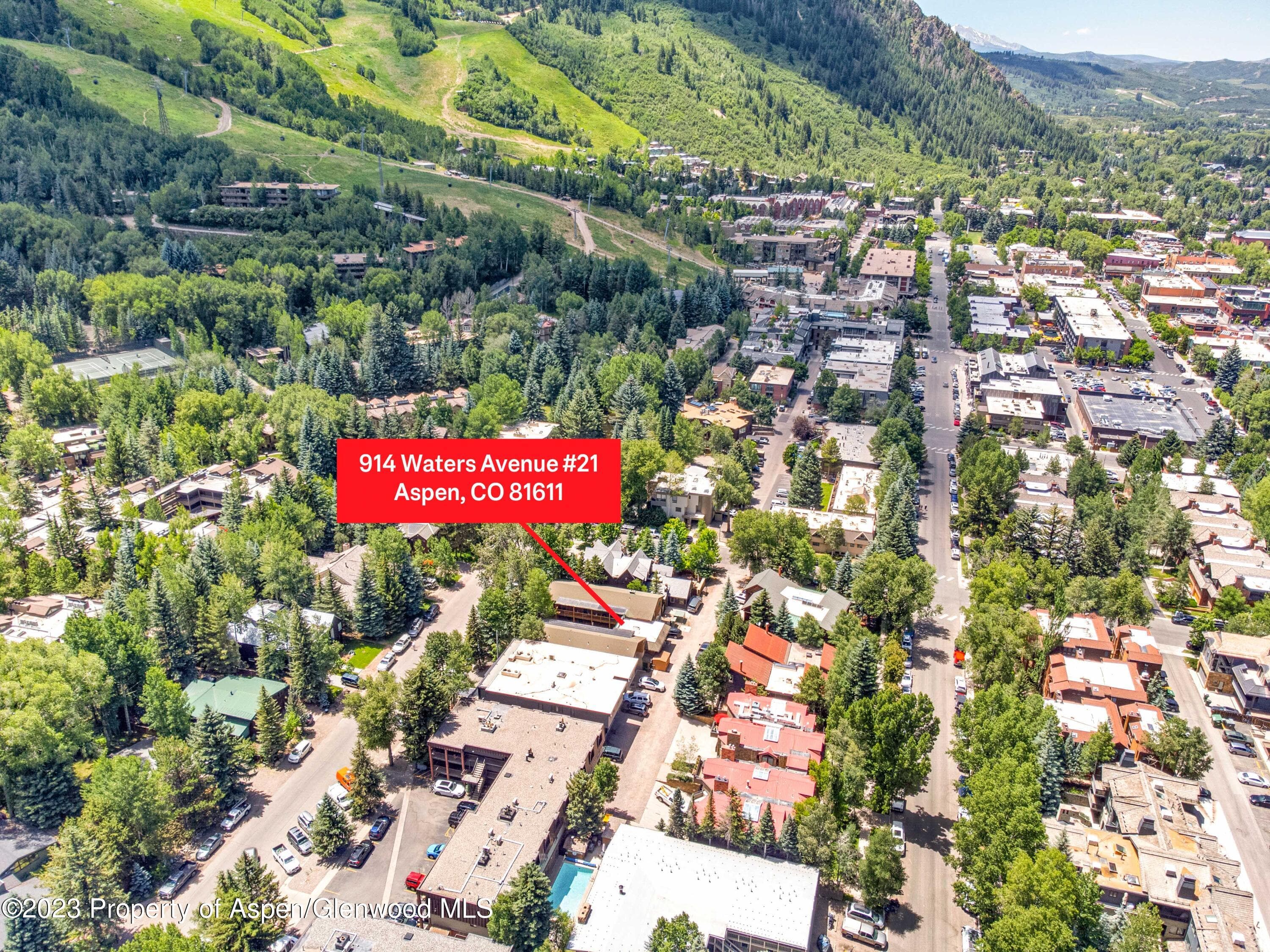 914 Waters Avenue 21, Aspen, CO 81611 - Photo 5