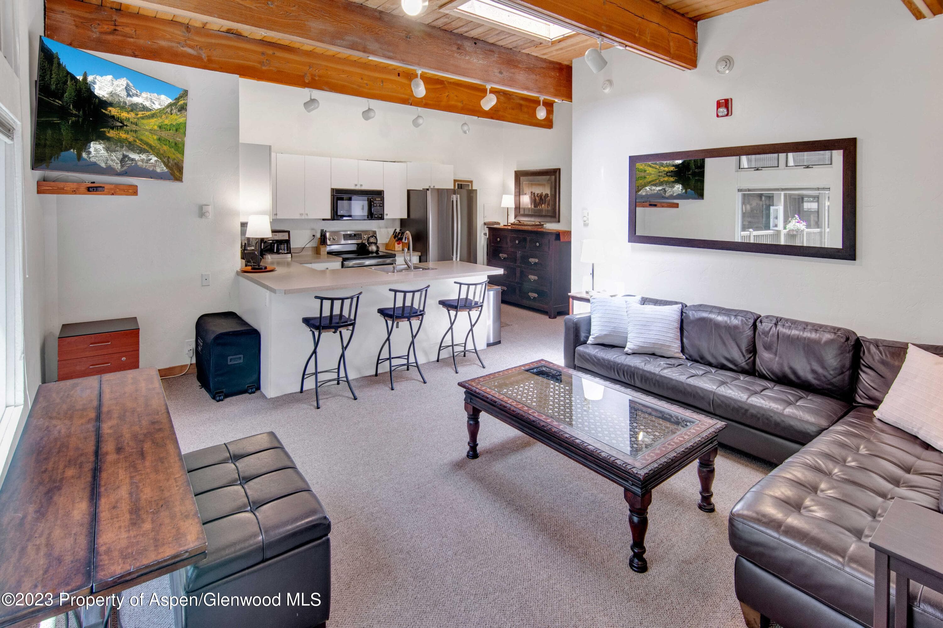 914 Waters Avenue 21, Aspen, CO 81611 - Photo 6