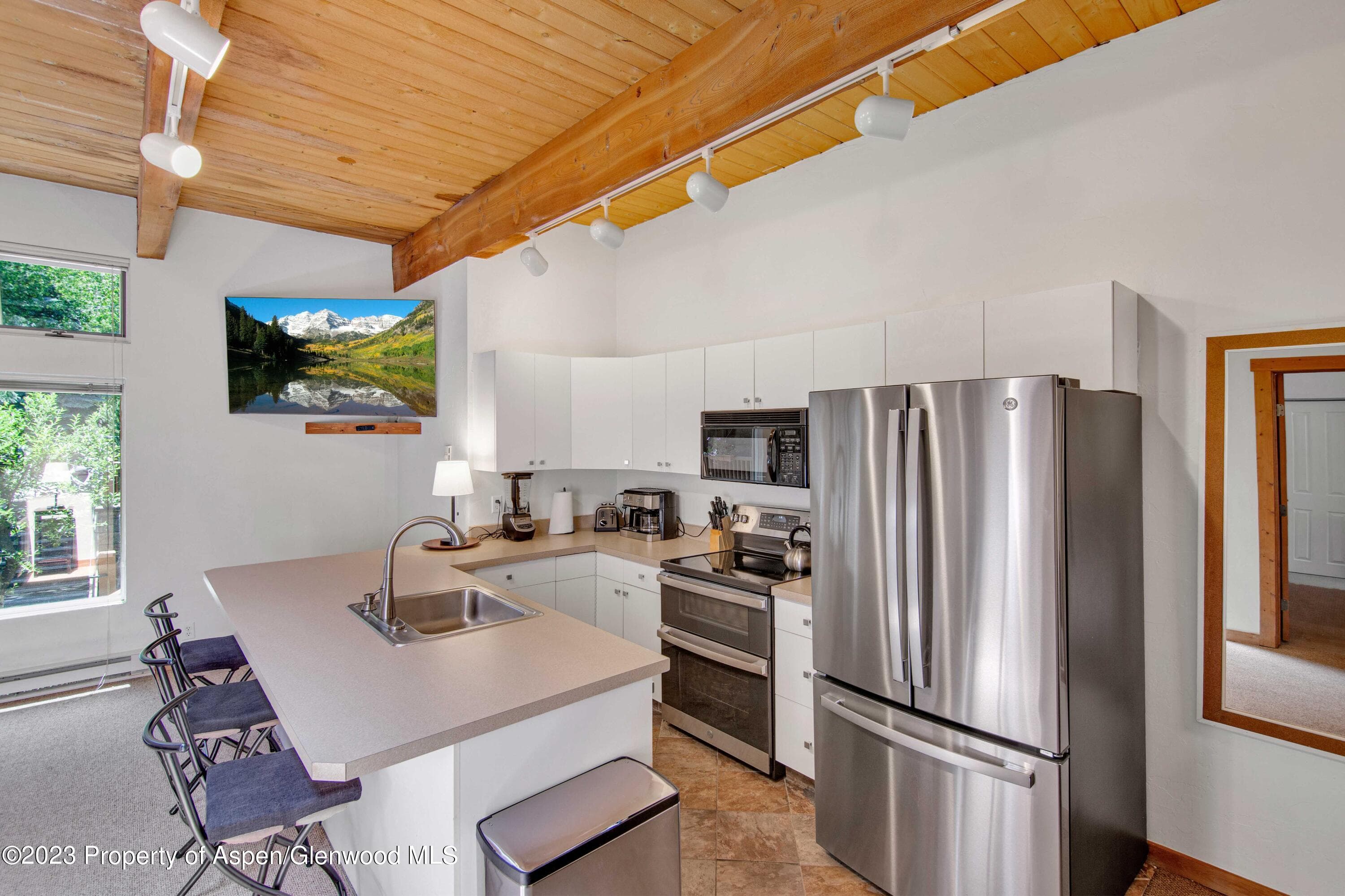 914 Waters Avenue 21, Aspen, CO 81611 - Photo 9