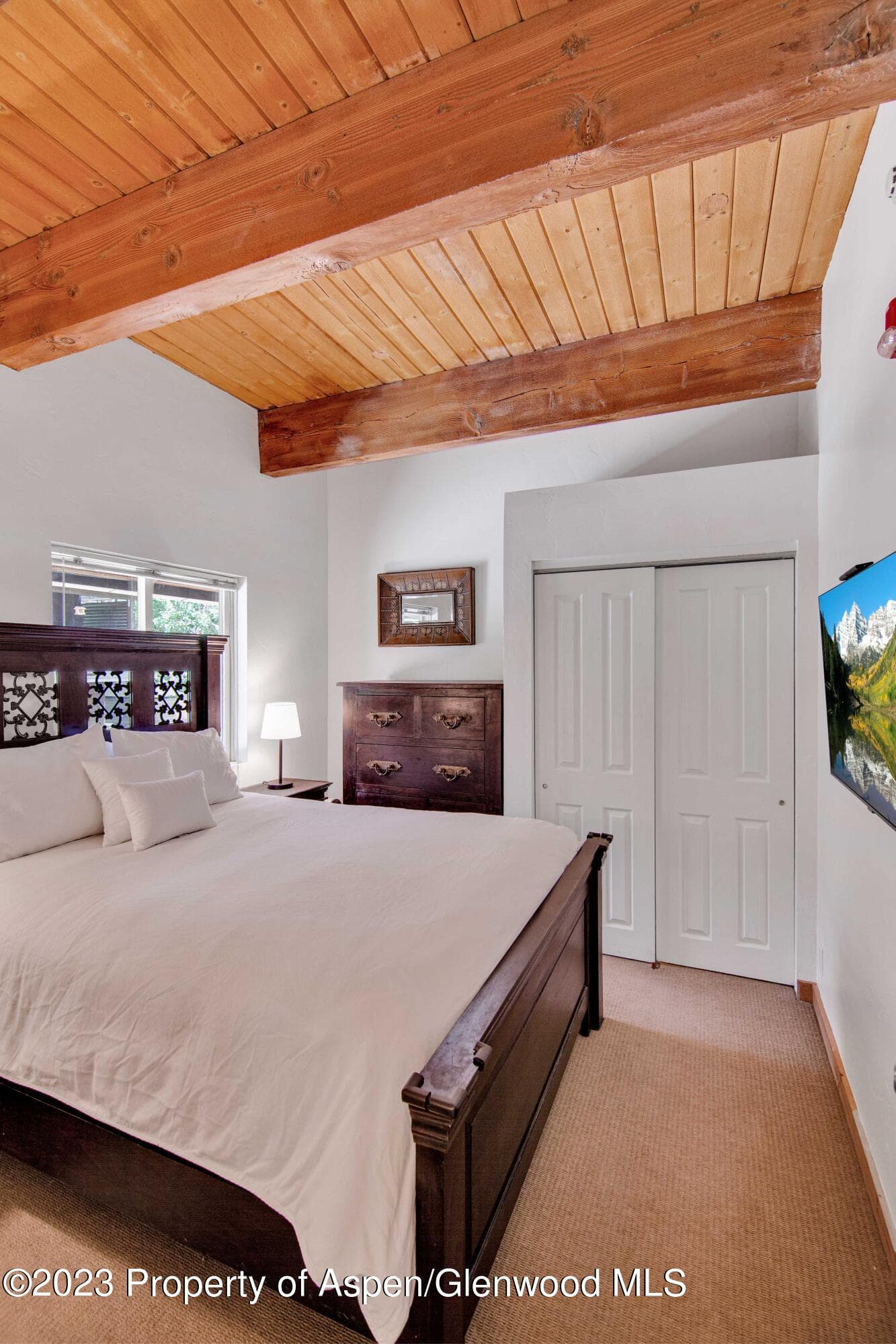 914 Waters Avenue 21, Aspen, CO 81611 - Photo 10
