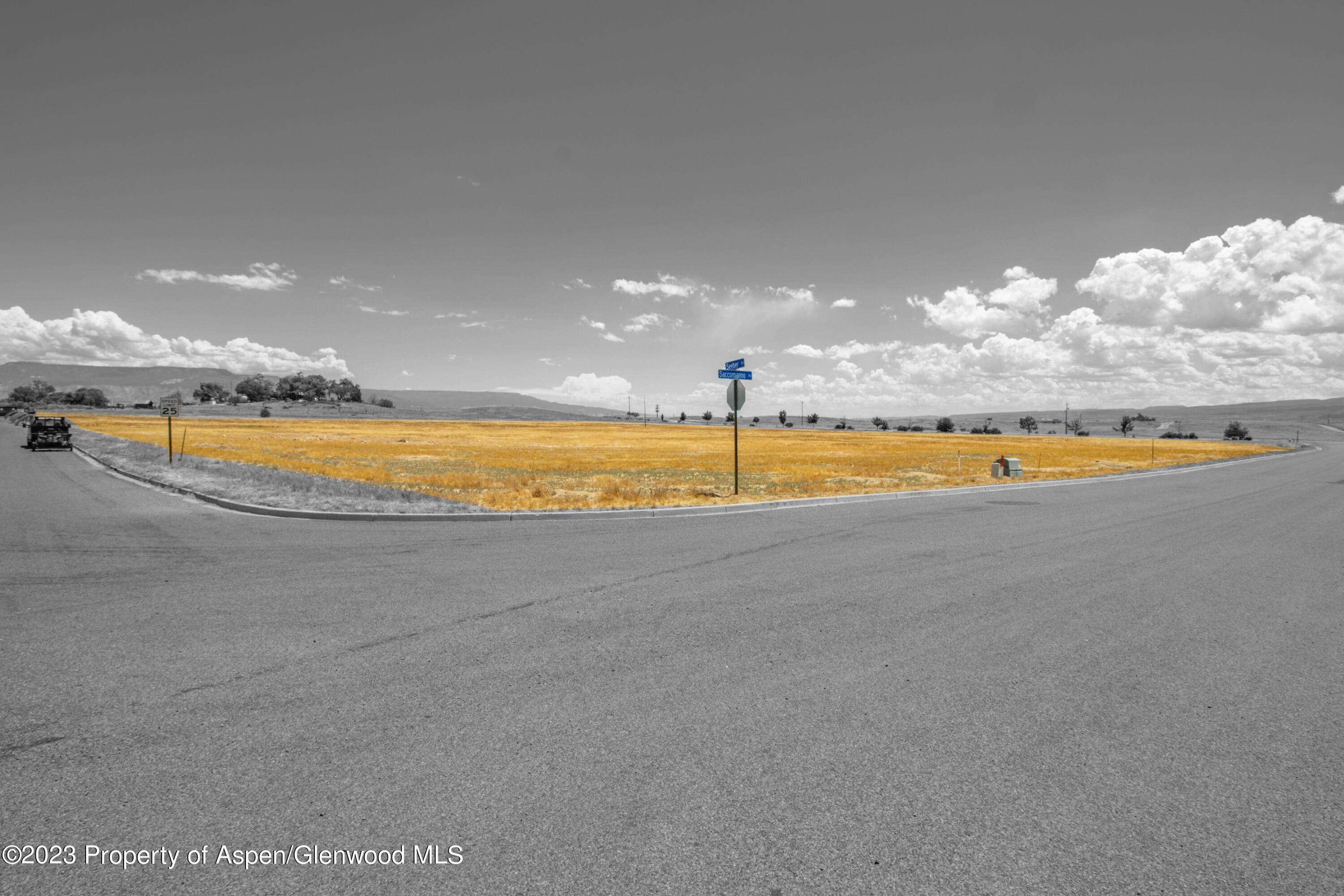 800 Saccomanno Road, Grand Junction, CO 81506 - Photo 6