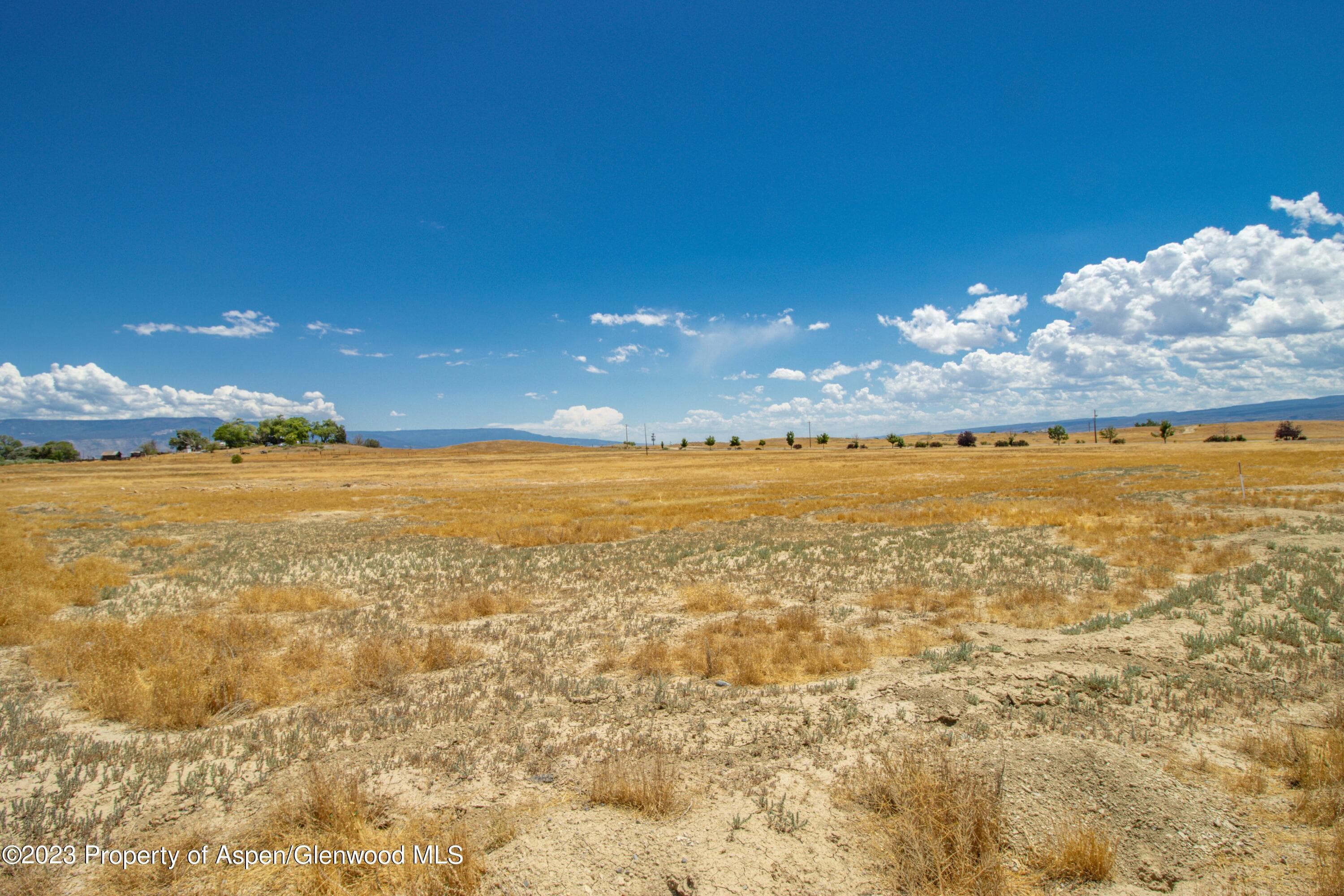 800 Saccomanno Road, Grand Junction, CO 81506 - Photo 7