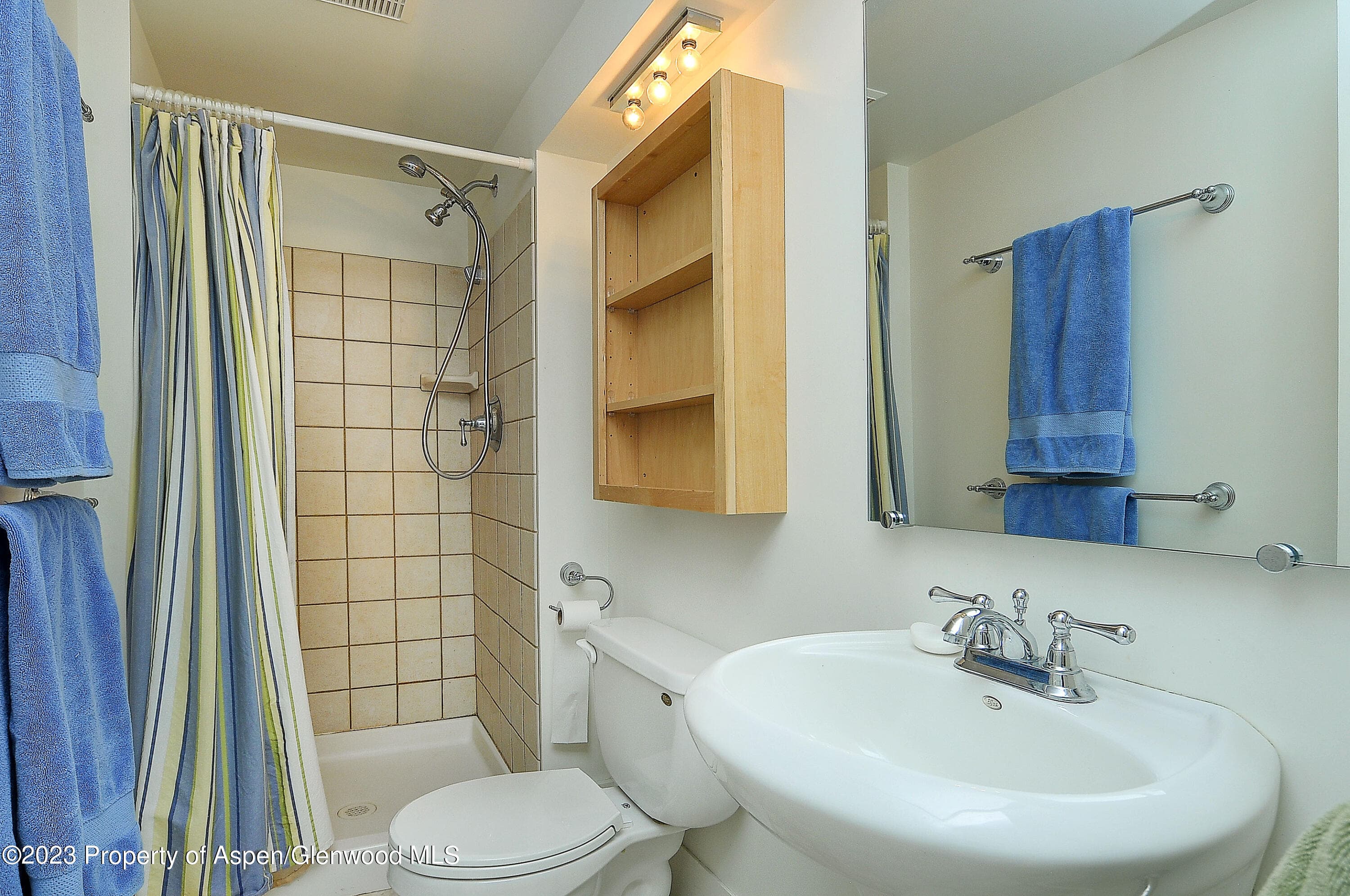 875 Hwy 300, Leadville, CO 80461 - Photo 12